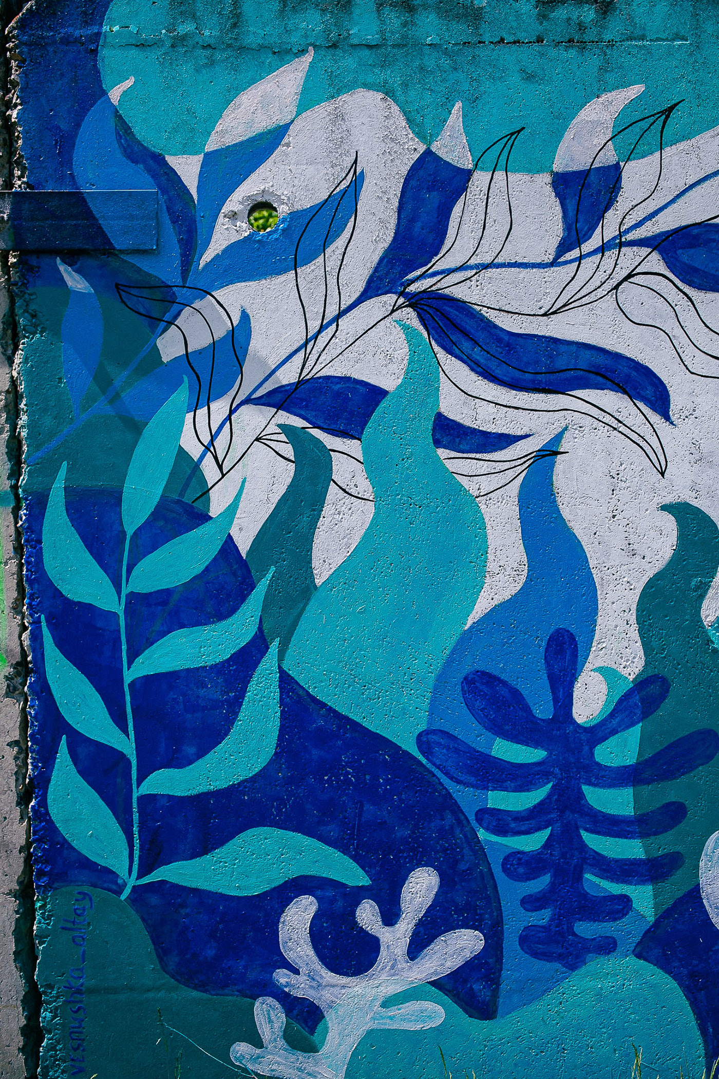 Street mural in Altay — Изображение №5 — Иллюстрация, Графика на Dprofile