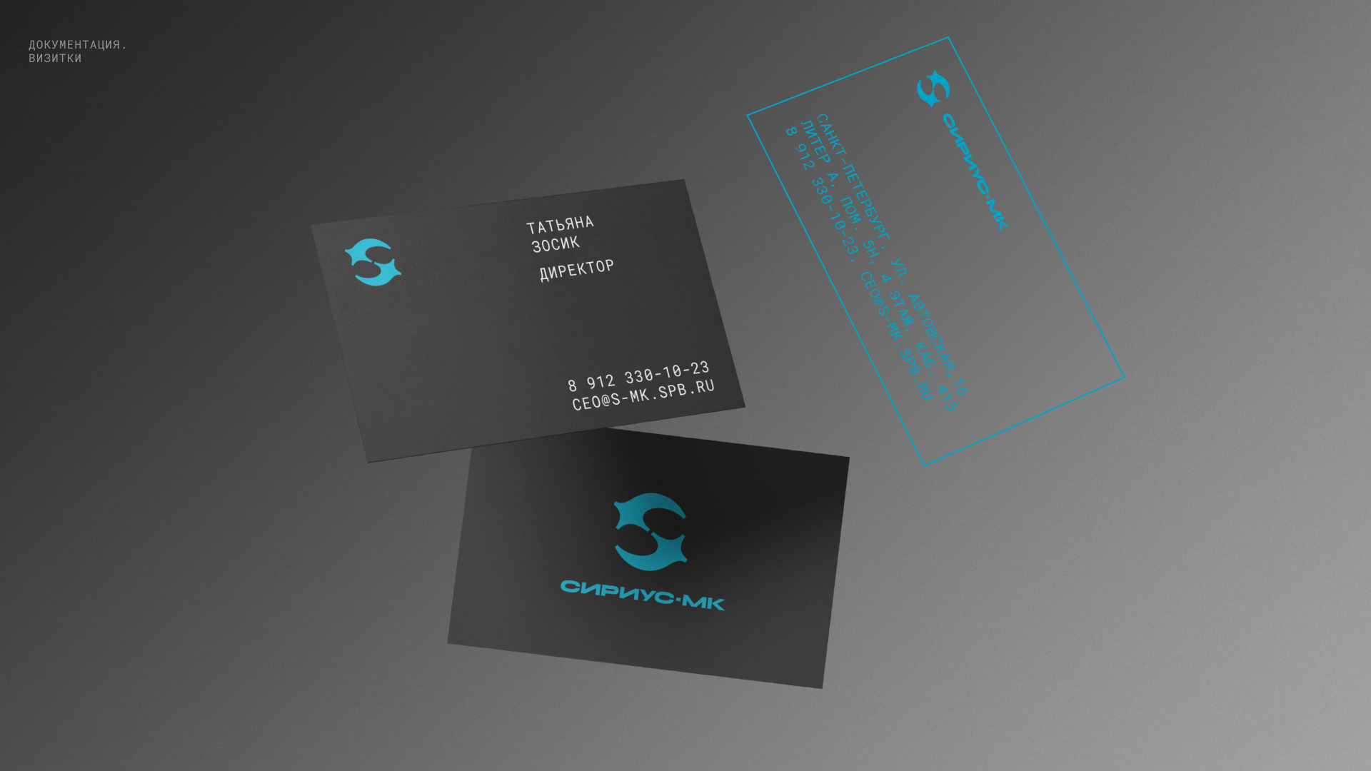 Сириус-МК — Изображение №6 — Брендинг на Dprofile