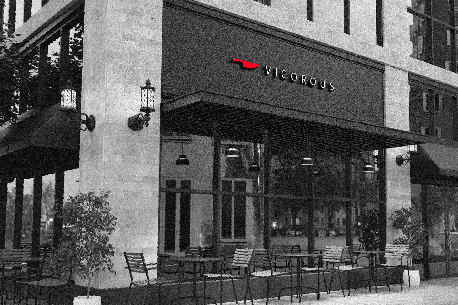 Vigorous — Изображение №2 — Брендинг на Dprofile