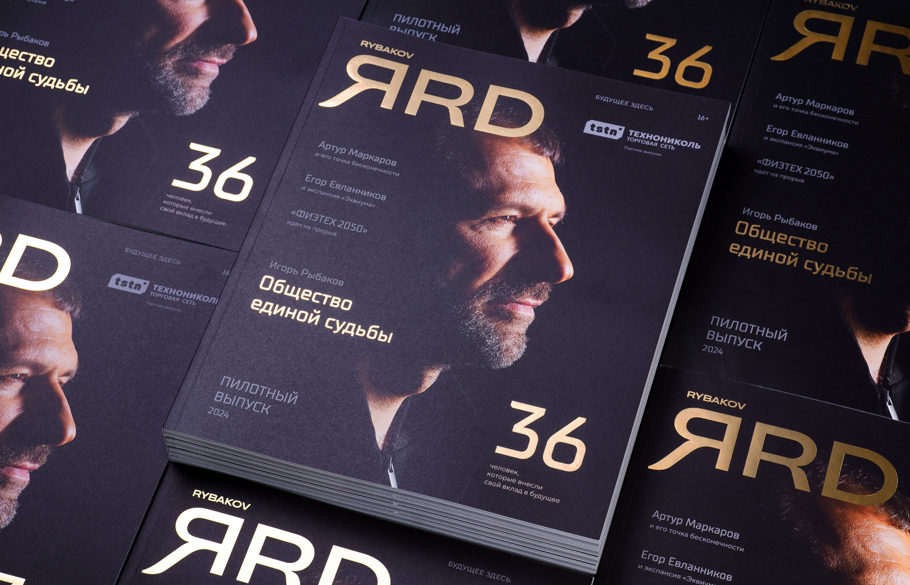 Rybakov. ЯRD — Изображение №14 — Брендинг, Графика на Dprofile