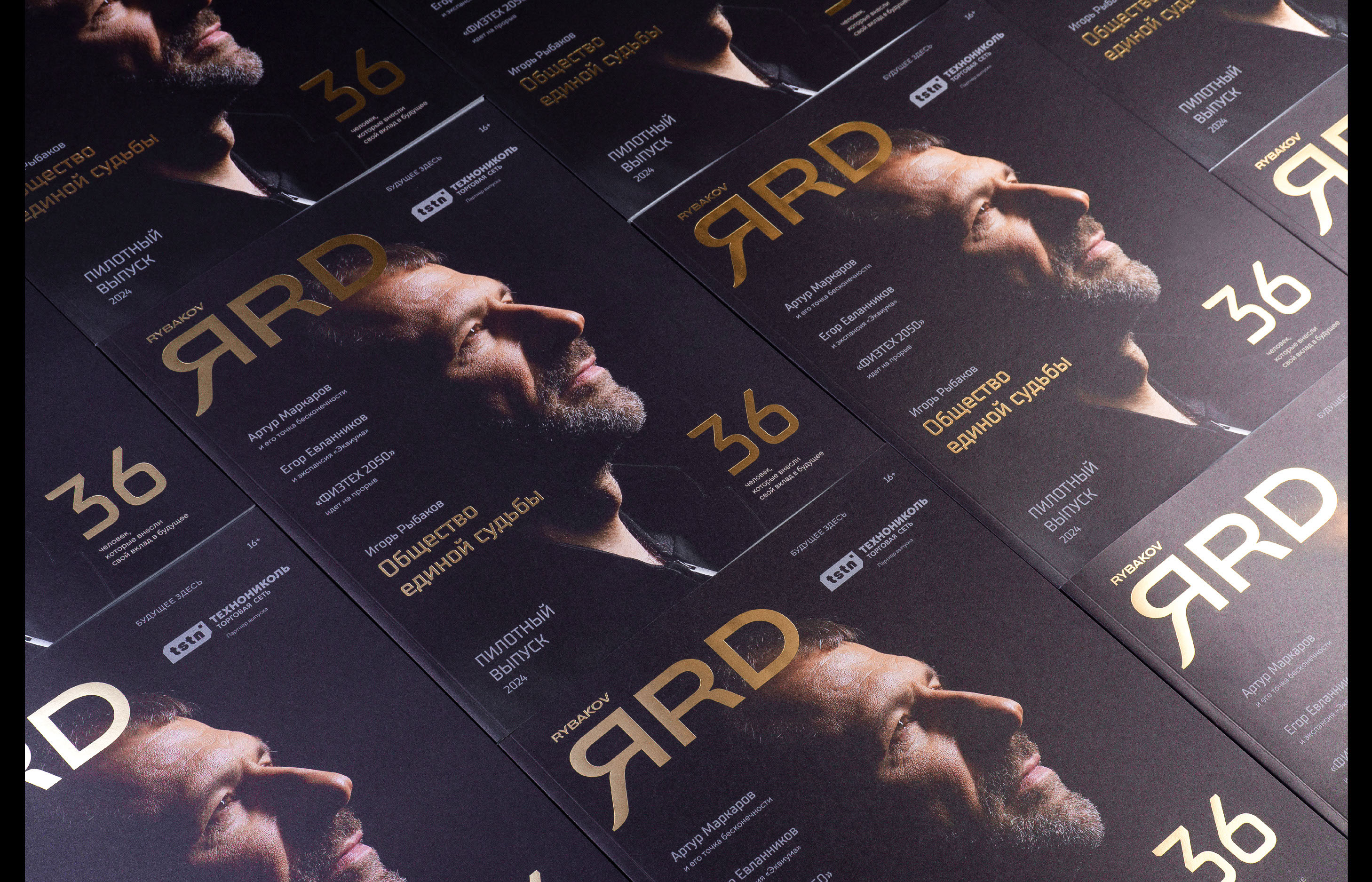 Rybakov. ЯRD — Изображение №2 — Брендинг, Графика на Dprofile