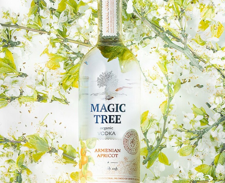 Magic Tree — Брендинг на Dprofile