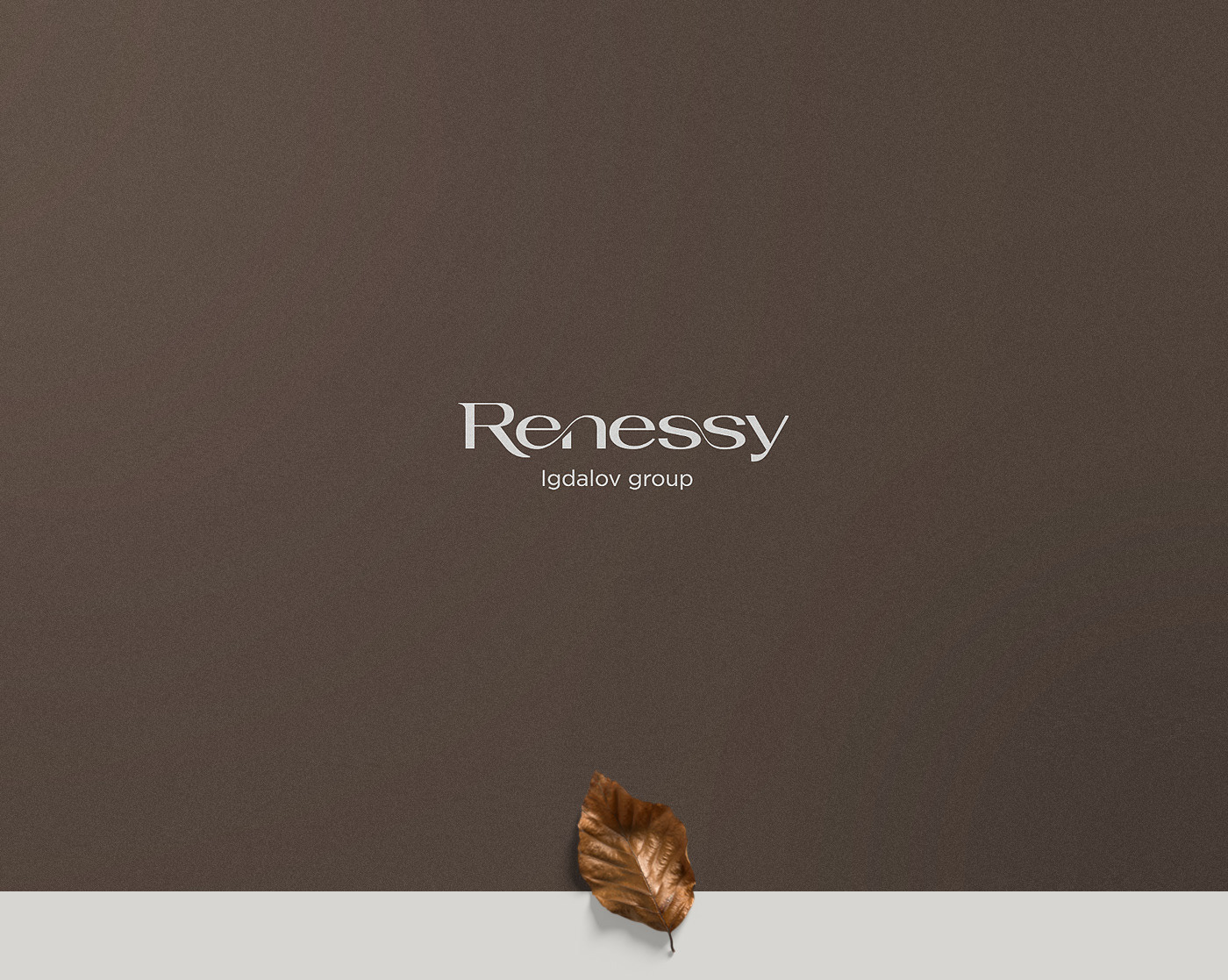 RENESSY — Изображение №1 — Брендинг на Dprofile