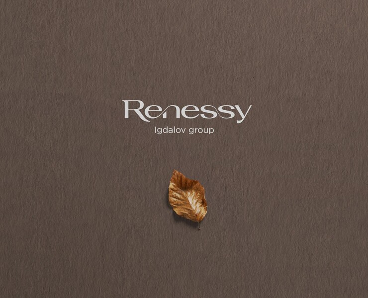 RENESSY — Брендинг на Dprofile