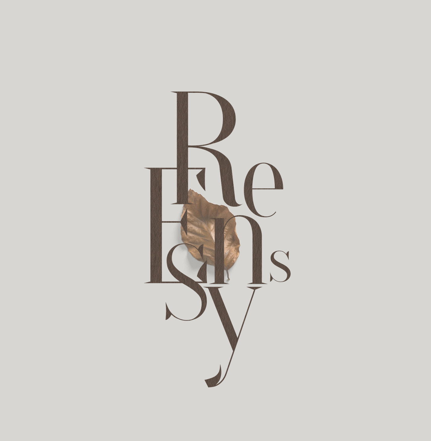 RENESSY — Изображение №18 — Брендинг на Dprofile