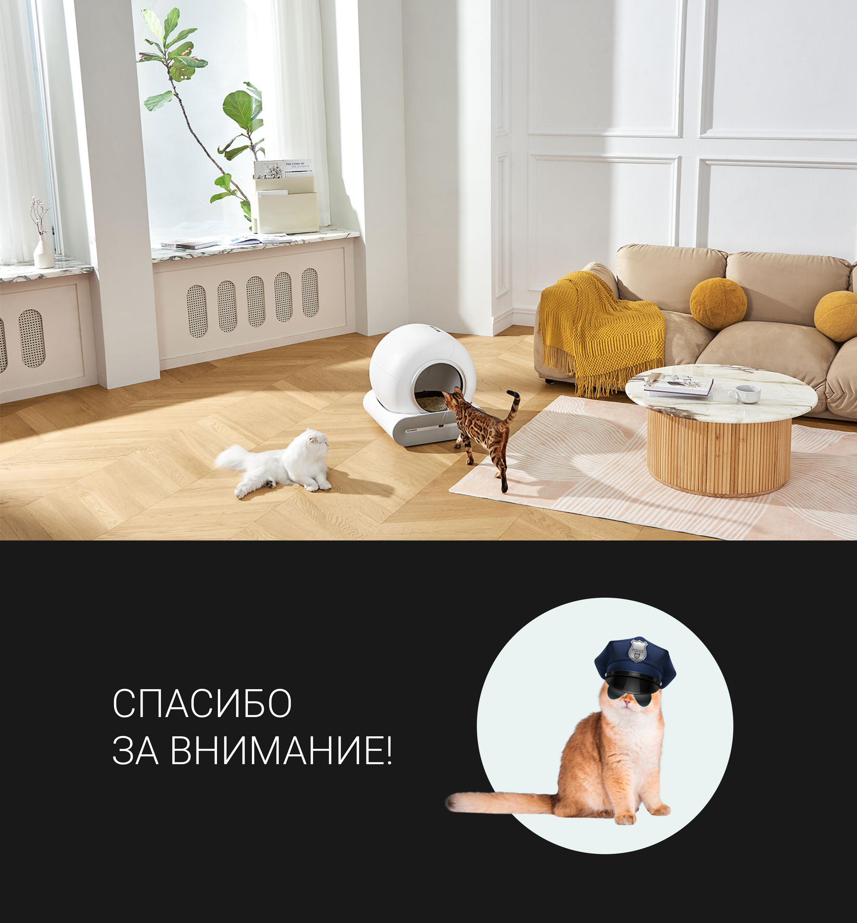 Online-store for tonepie — Изображение №11 — Интерфейсы на Dprofile