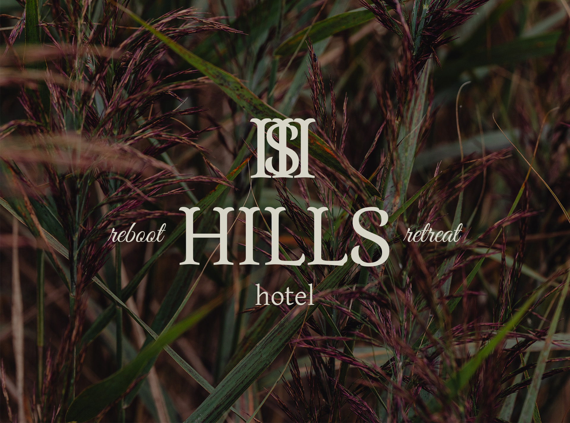 Hills | Brand identity — Изображение №1 — Брендинг, Маркетинг на Dprofile