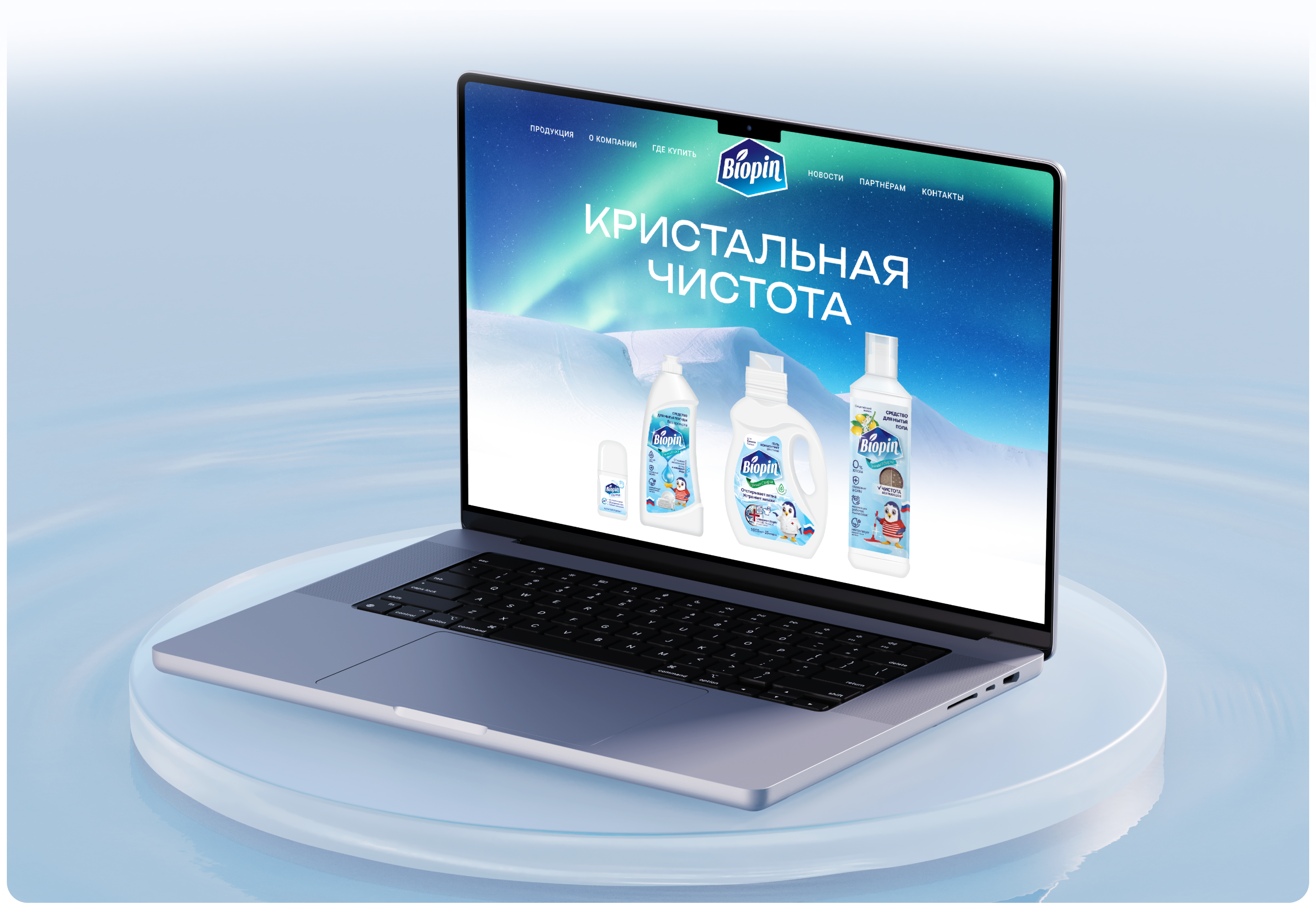 Biopin – разработка брендового сайта — Изображение №2 — Интерфейсы на Dprofile