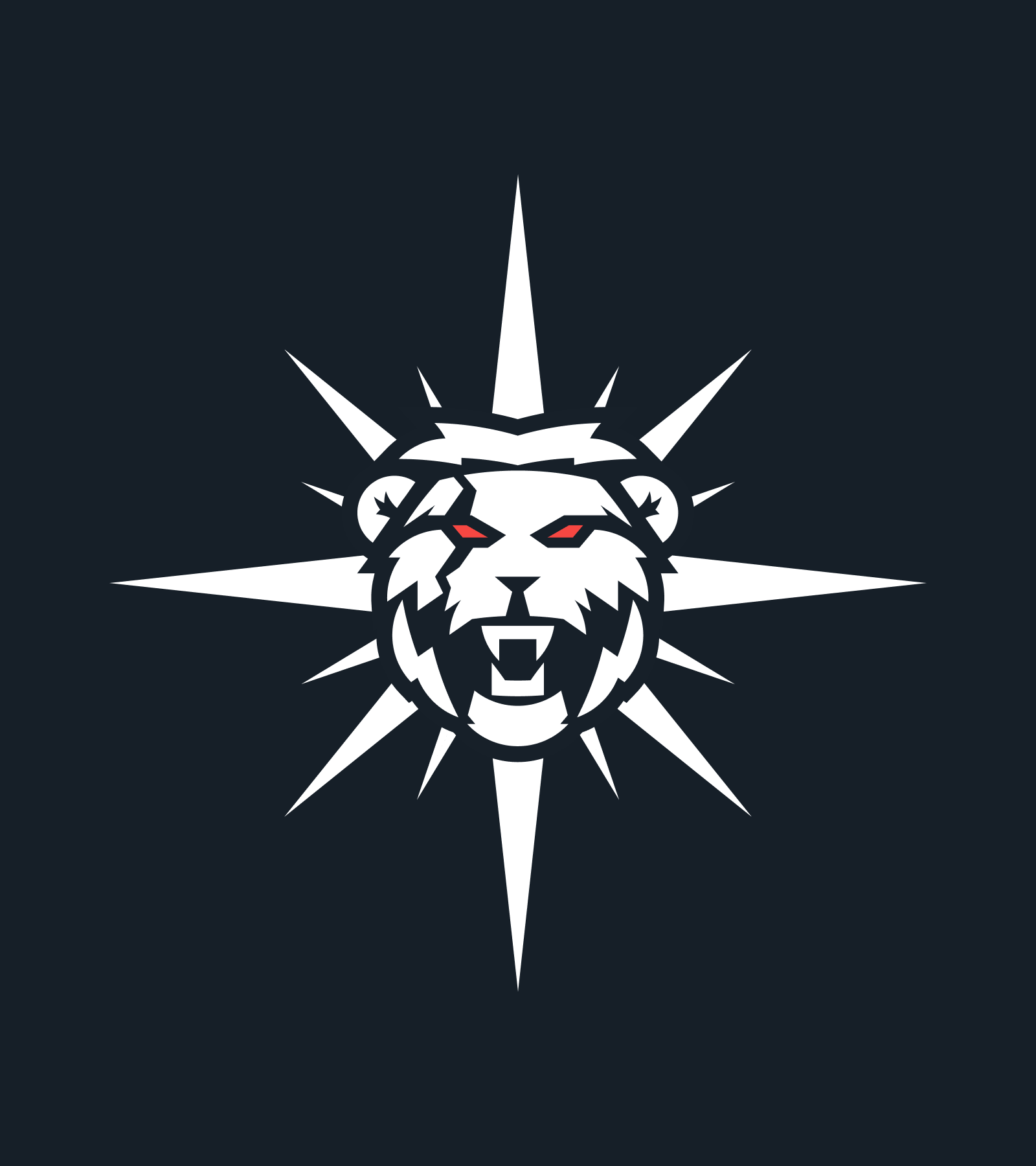 SGAMING: PIRATED VISUAL IDENTITY — Изображение №9 — Брендинг, Маркетинг на Dprofile