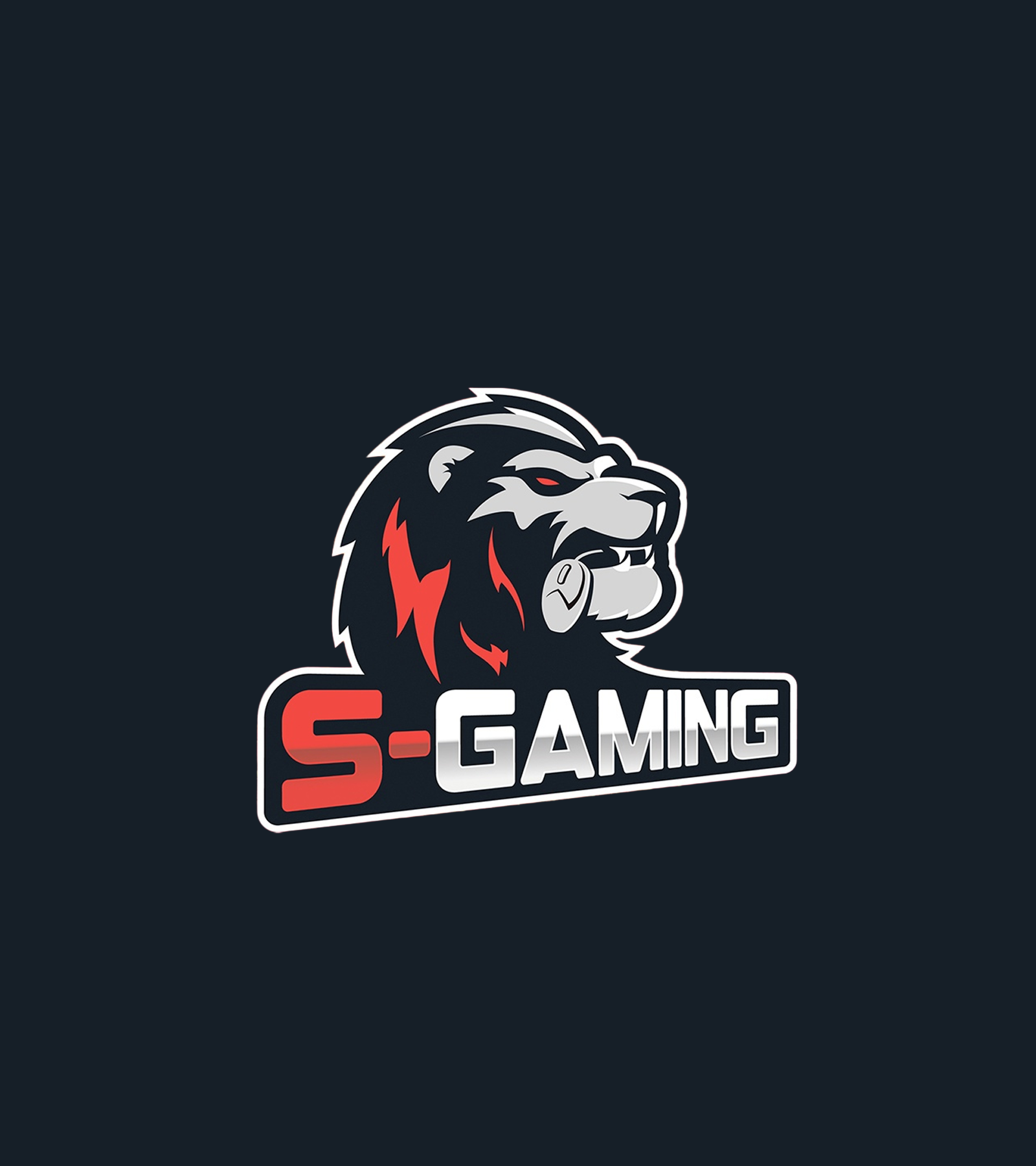 SGAMING: PIRATED VISUAL IDENTITY — Изображение №4 — Брендинг, Маркетинг на Dprofile