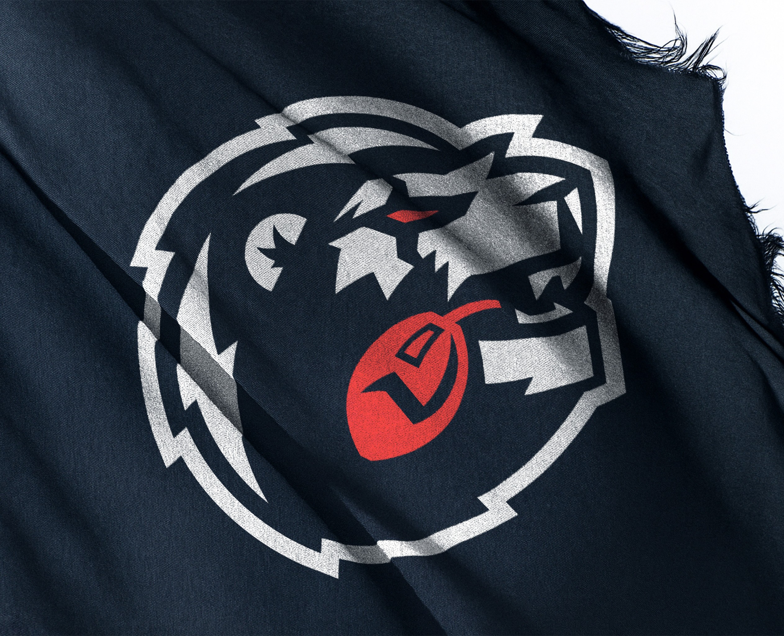 SGAMING: PIRATED VISUAL IDENTITY на Dprofile