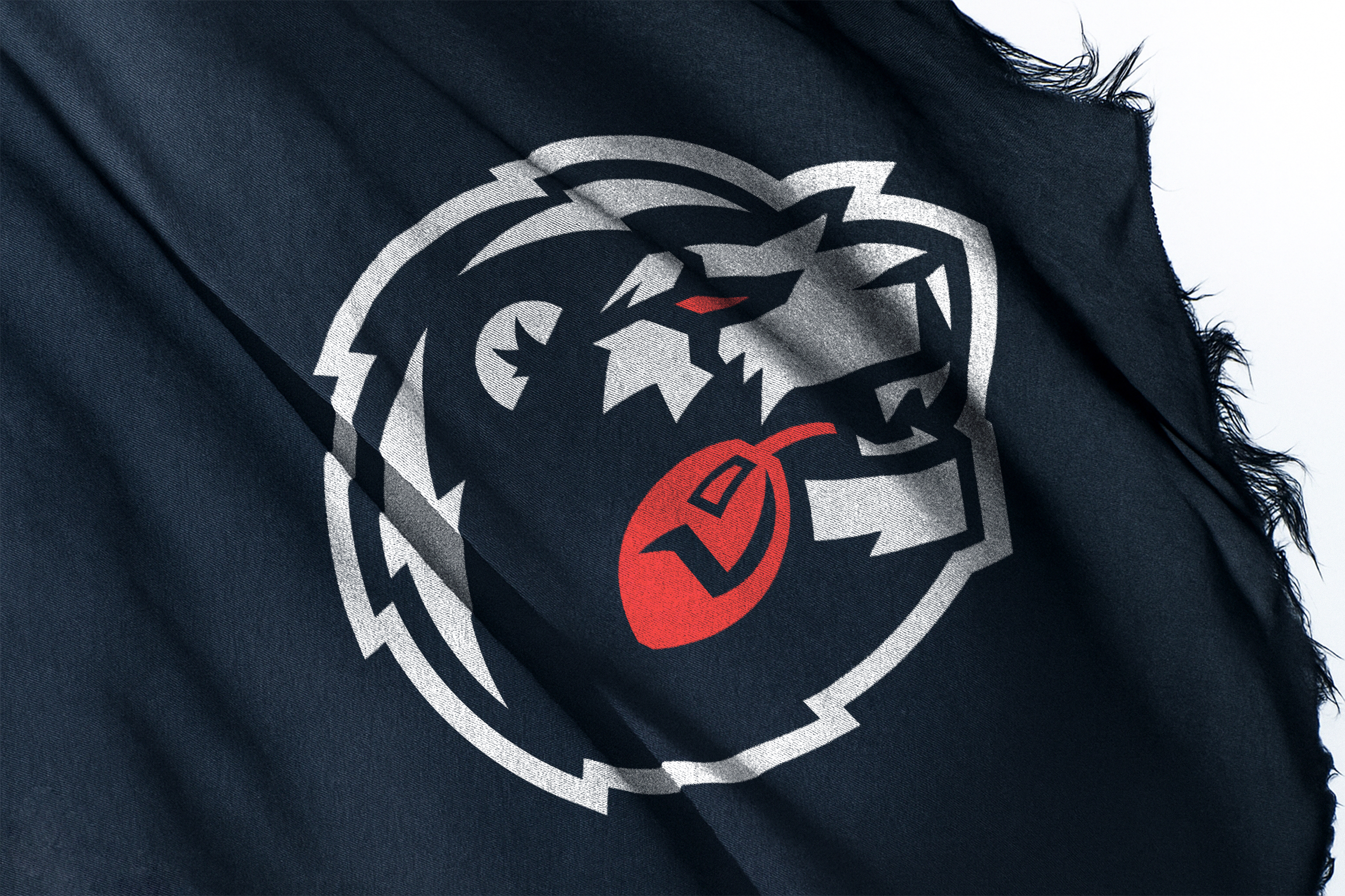 SGAMING: PIRATED VISUAL IDENTITY — Изображение №1 — Брендинг, Маркетинг на Dprofile
