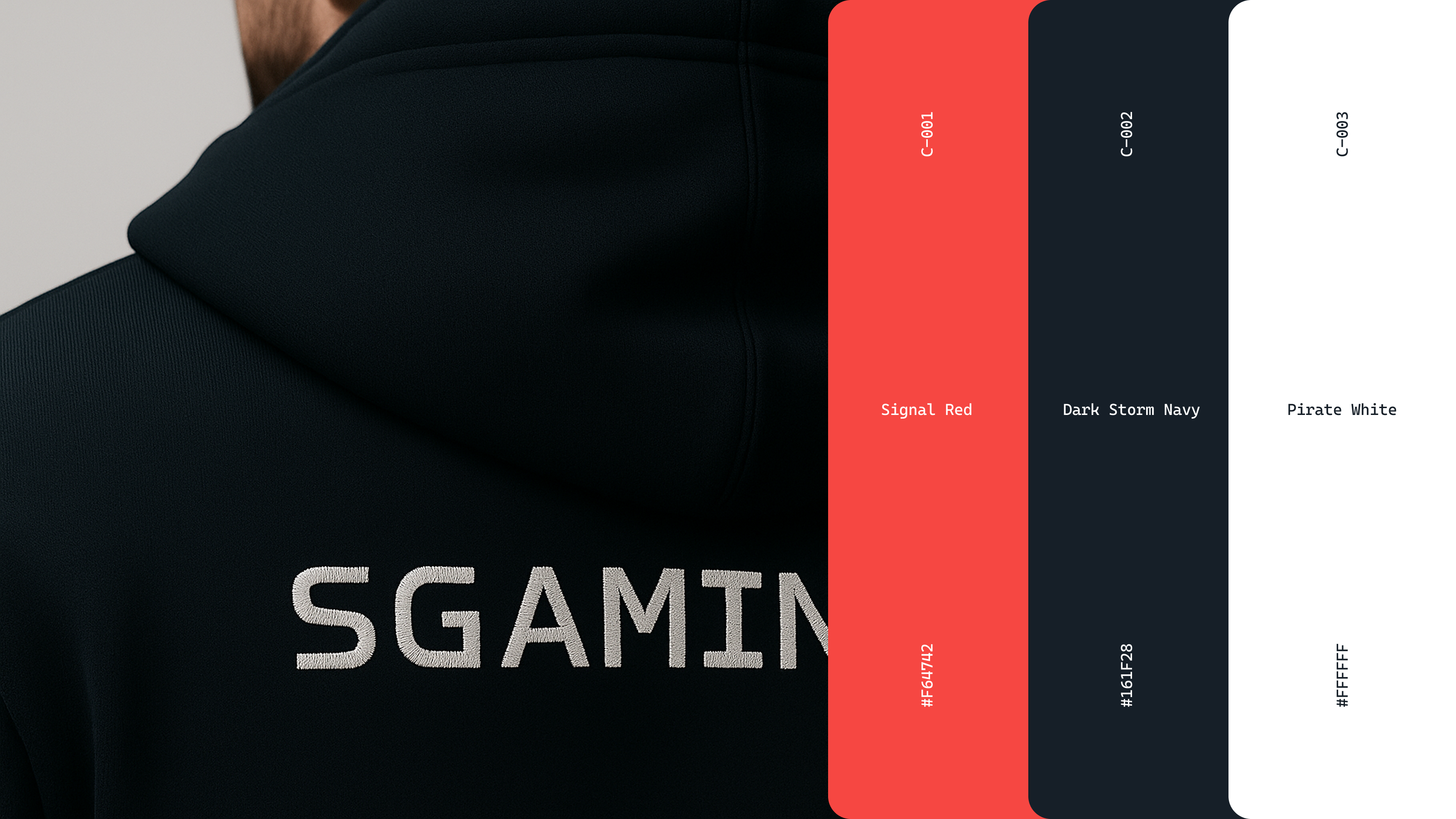 SGAMING: PIRATED VISUAL IDENTITY — Изображение №13 — Брендинг, Маркетинг на Dprofile