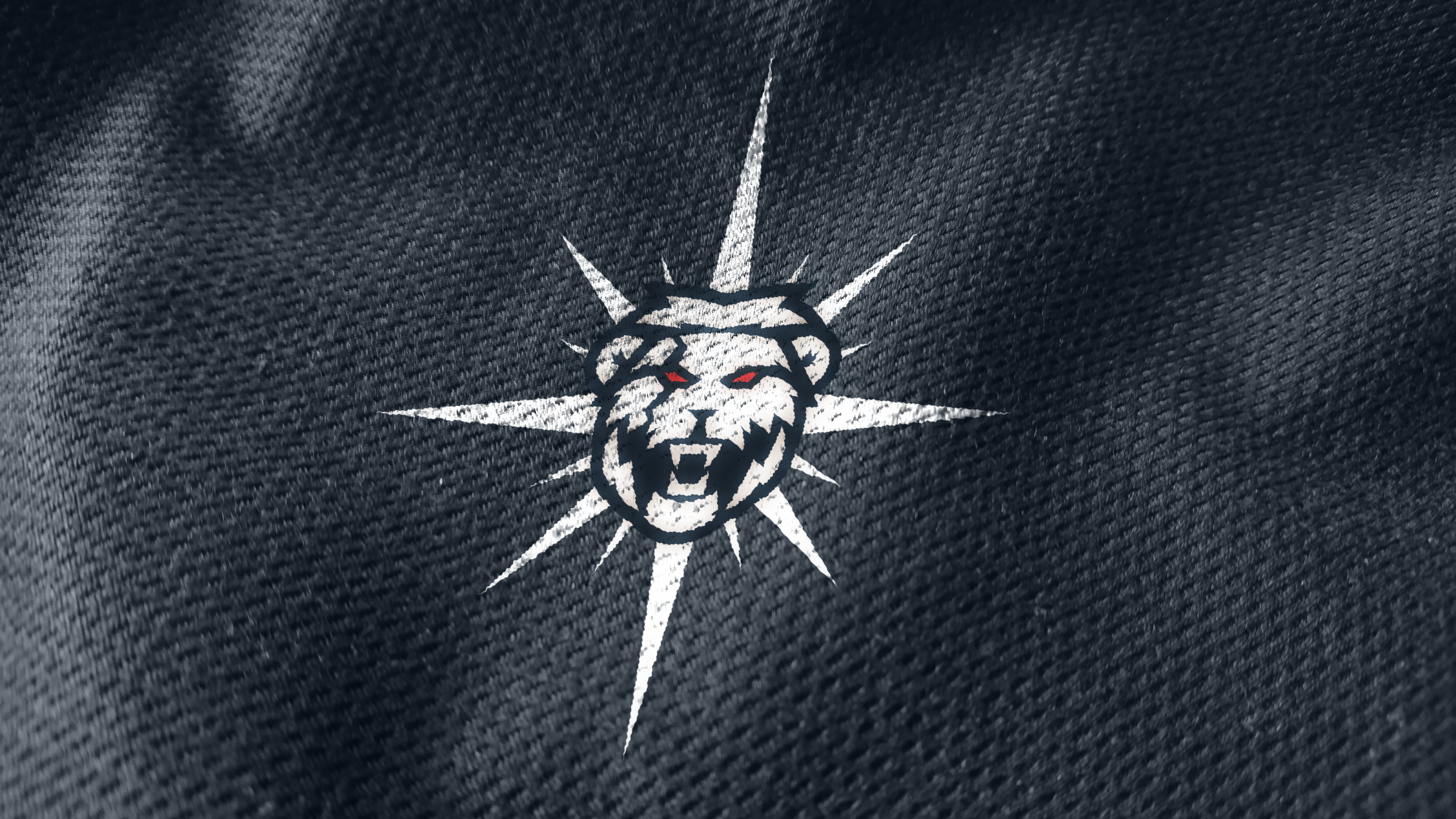SGAMING: PIRATED VISUAL IDENTITY — Изображение №11 — Брендинг, Маркетинг на Dprofile