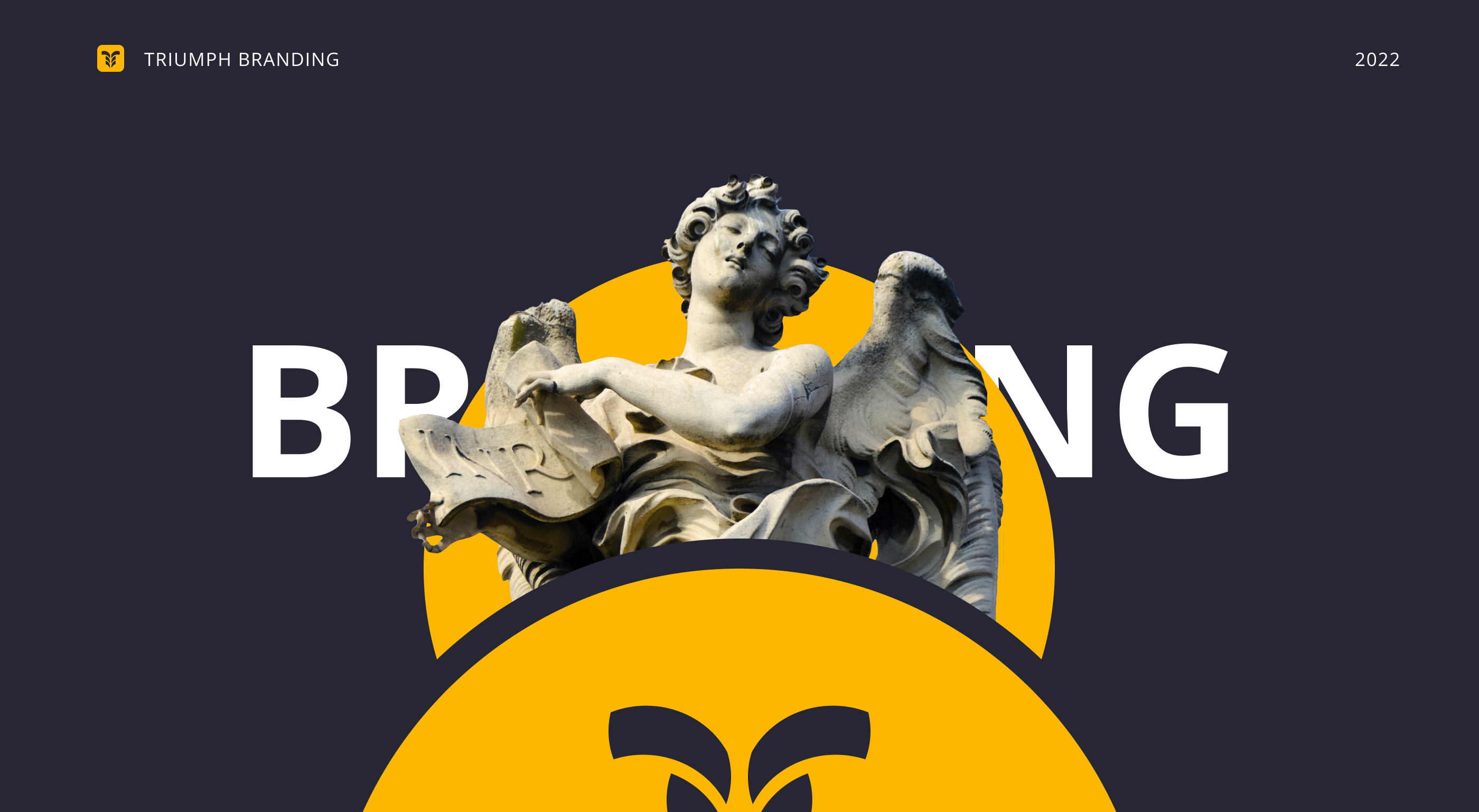 Triumph branding — Изображение №1 — Брендинг, Маркетинг на Dprofile