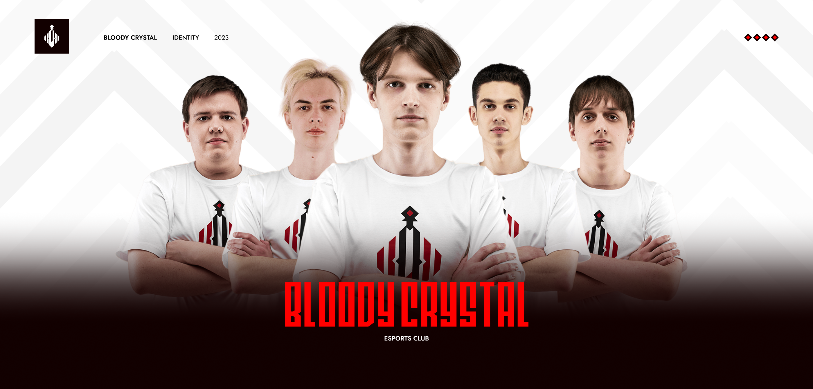 BLOODY CRYSTAL ESPORTS | IDENTITY 2023 — Изображение №1 — Брендинг, Маркетинг на Dprofile