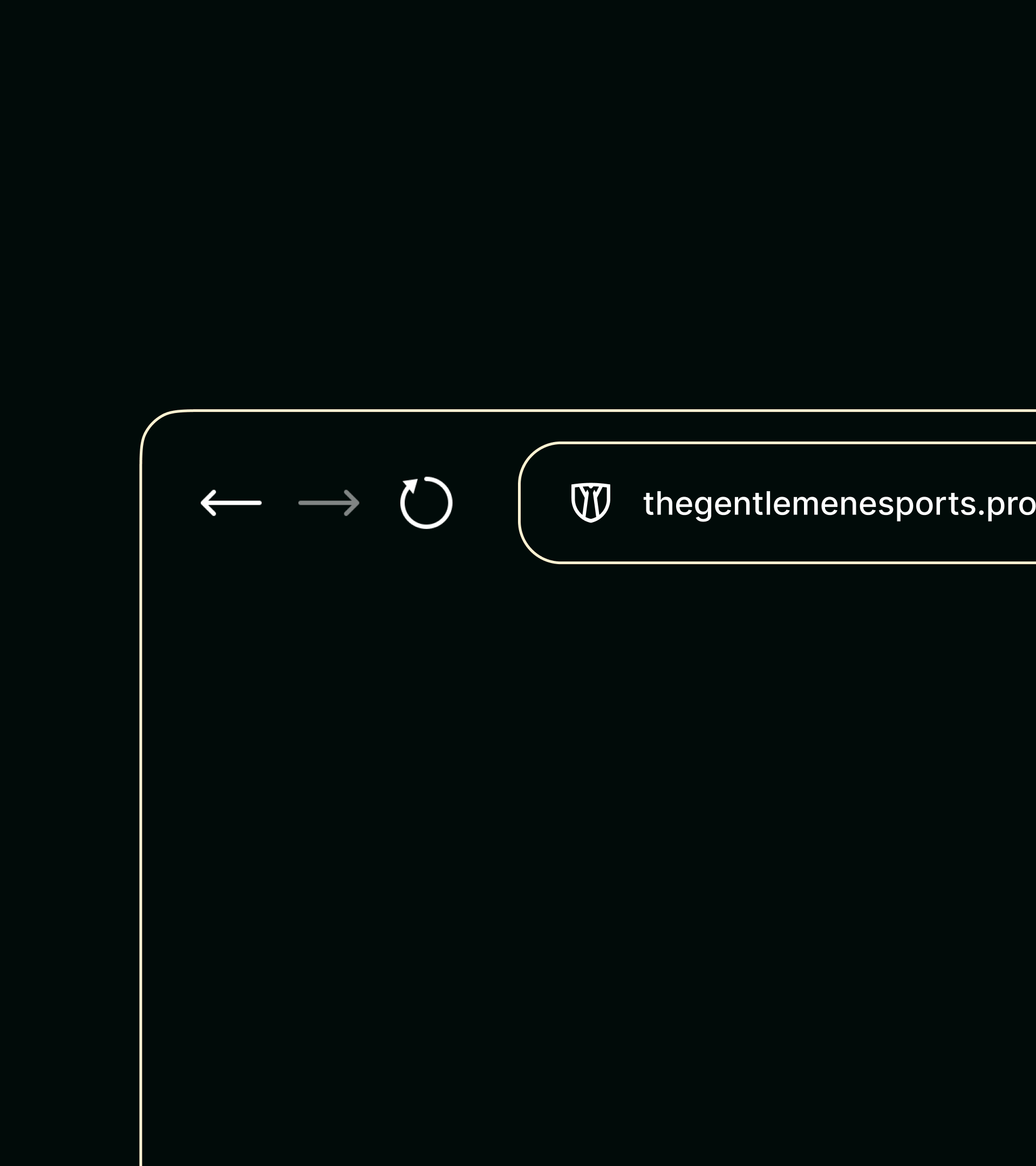 THE GENTLEMEN ESPORTS — Изображение №7 — Брендинг, Маркетинг на Dprofile