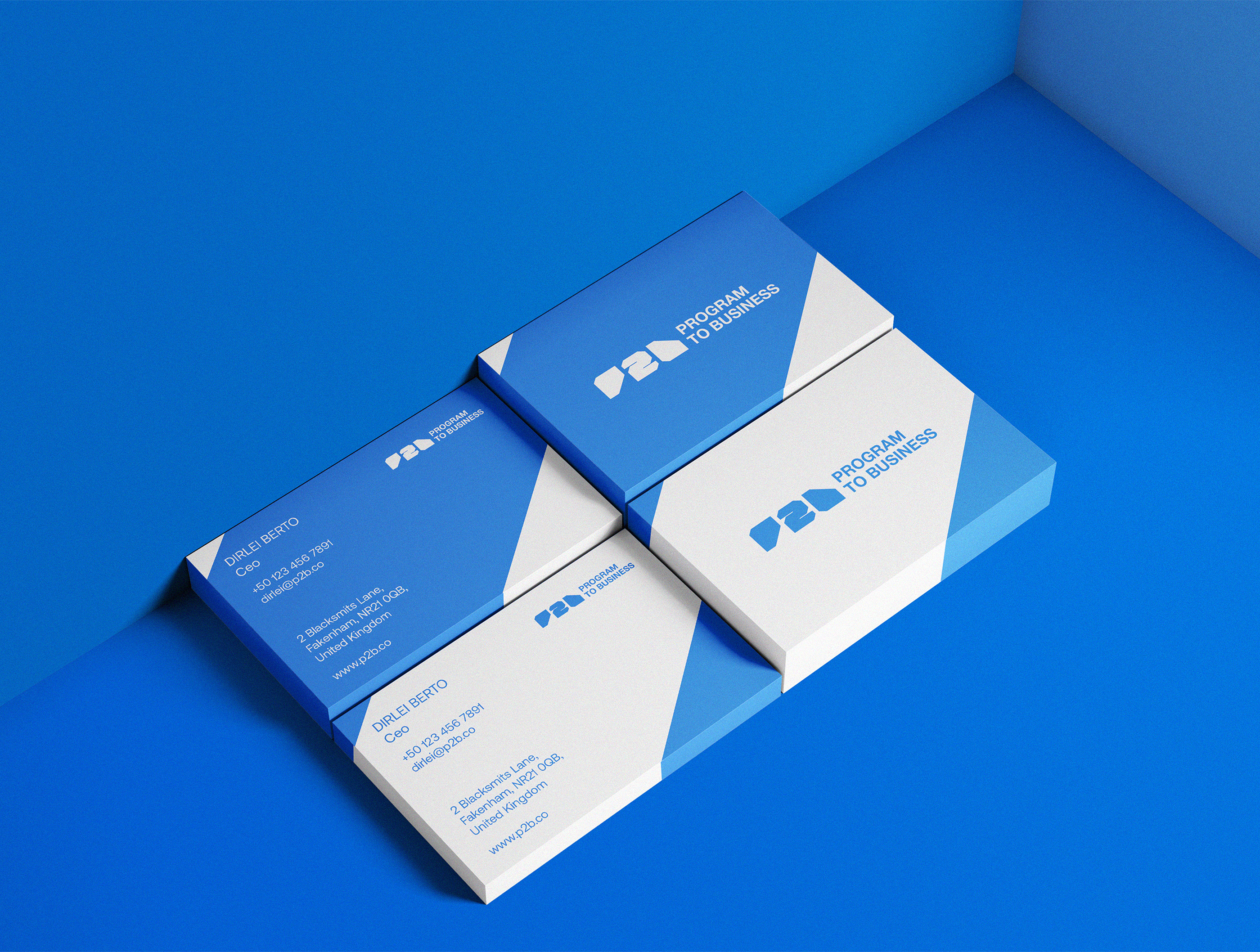 P2B - Program to Business | Branding & Identity — Изображение №10 — Брендинг, Графика на Dprofile