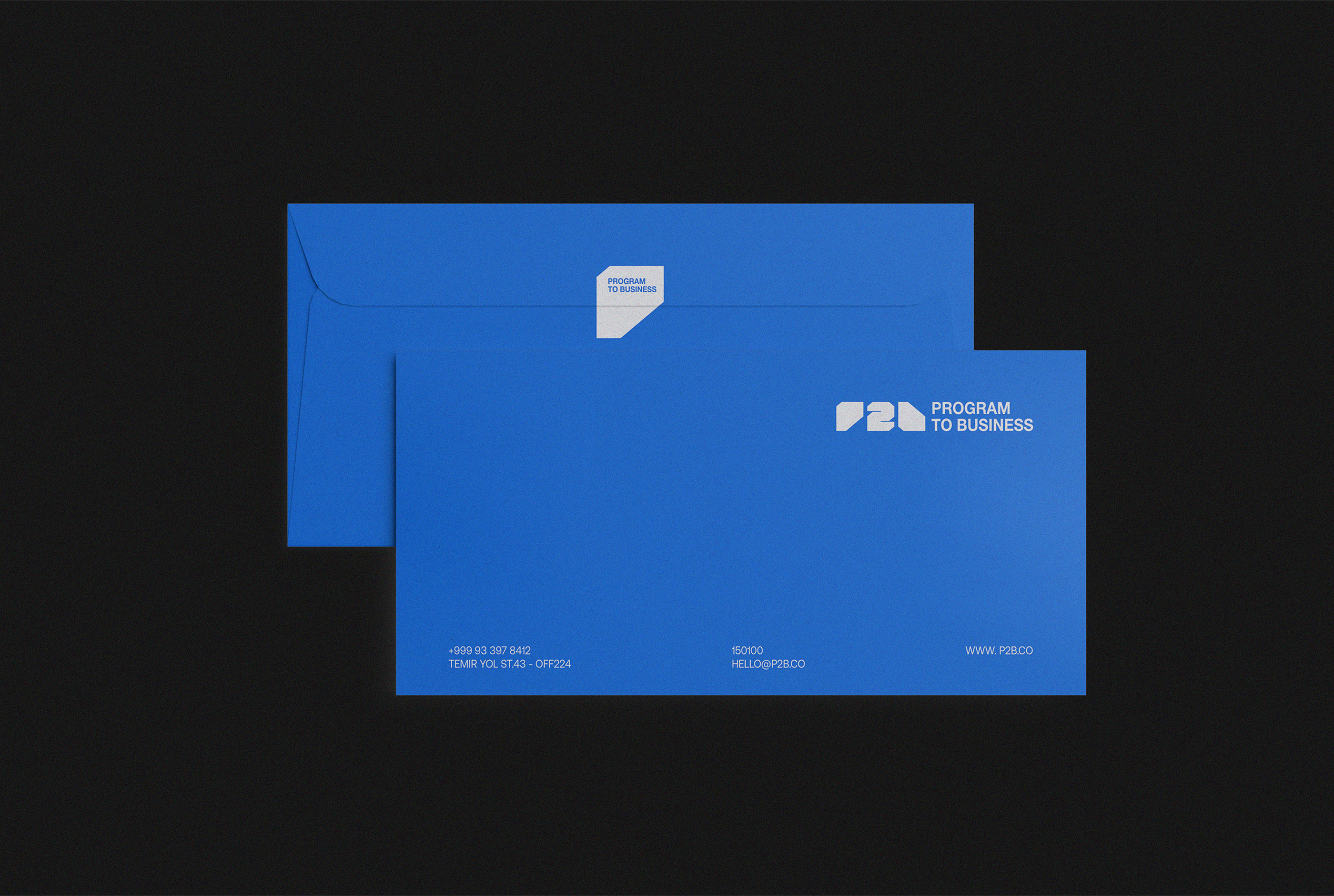 P2B - Program to Business | Branding & Identity — Изображение №12 — Брендинг, Графика на Dprofile