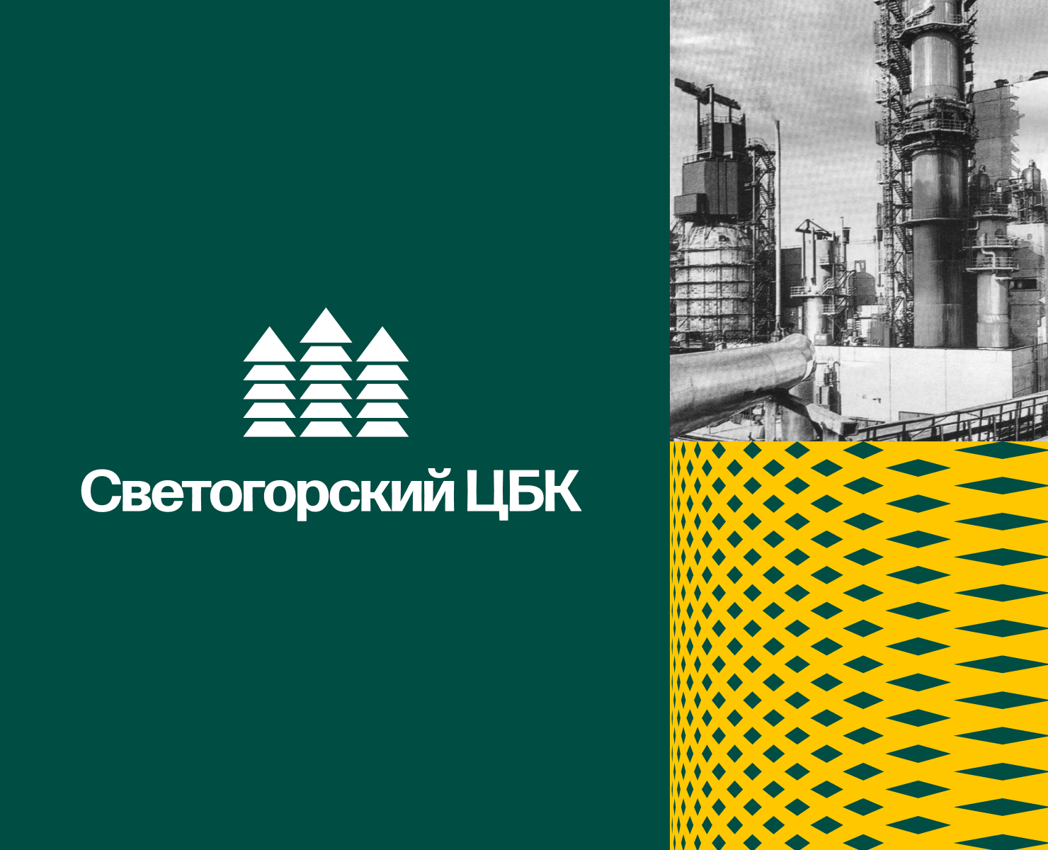 Светогорский ЦБК. Брендинг — Брендинг на Dprofile