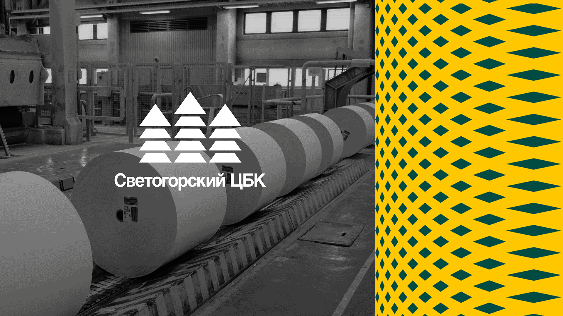 Светогорский ЦБК. Брендинг — Изображение №1 — Брендинг на Dprofile