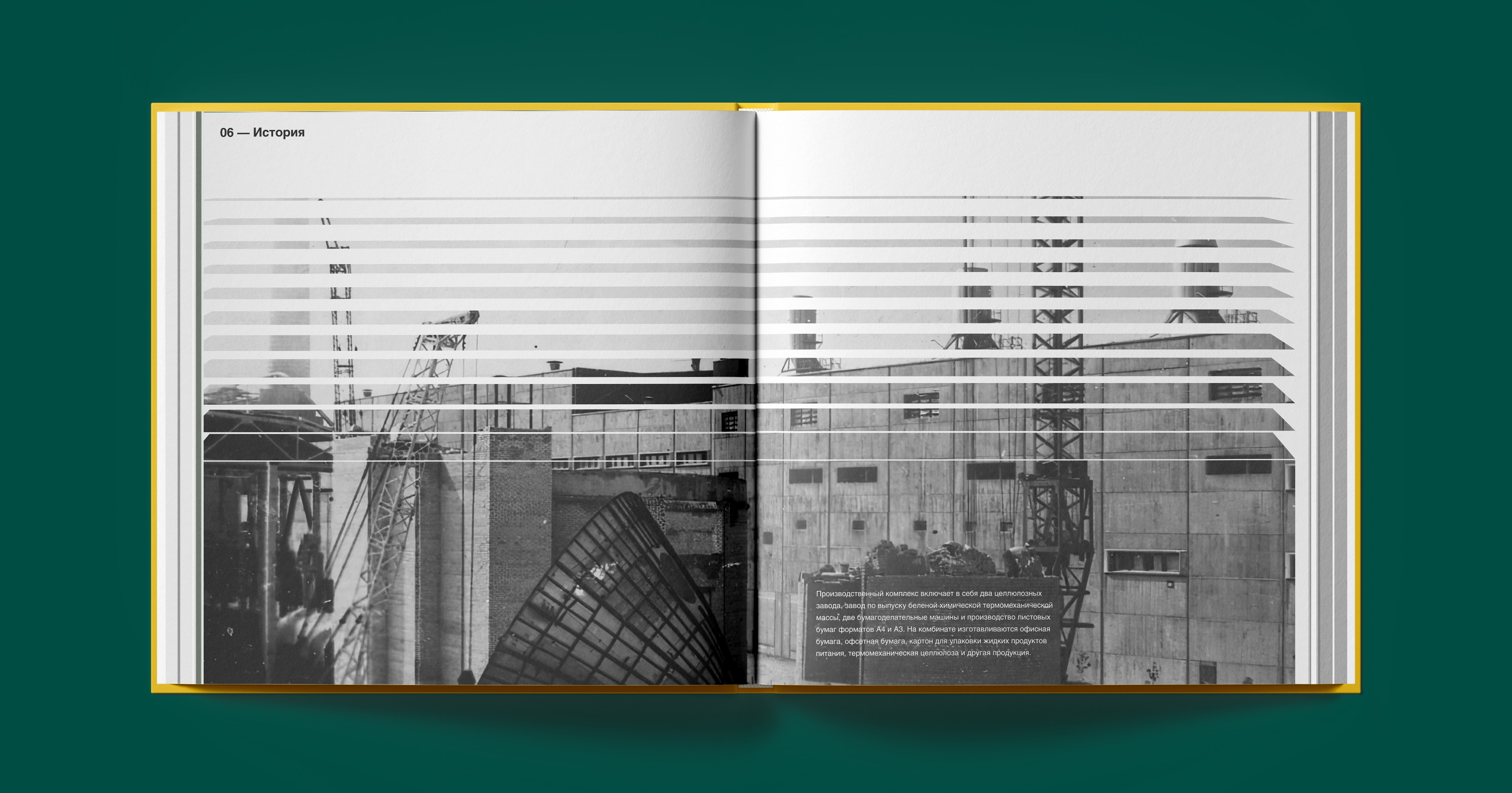 Светогорский ЦБК. Брендинг — Изображение №14 — Брендинг на Dprofile