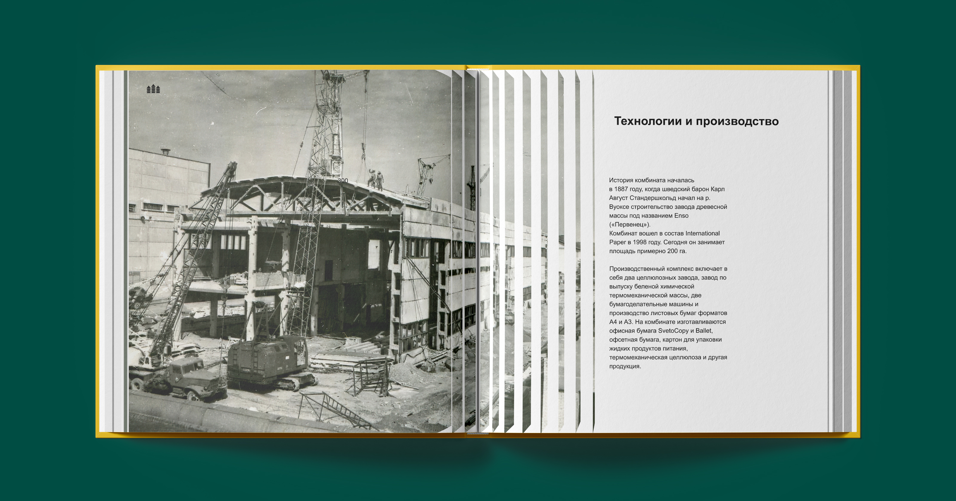 Светогорский ЦБК. Брендинг — Изображение №16 — Брендинг на Dprofile