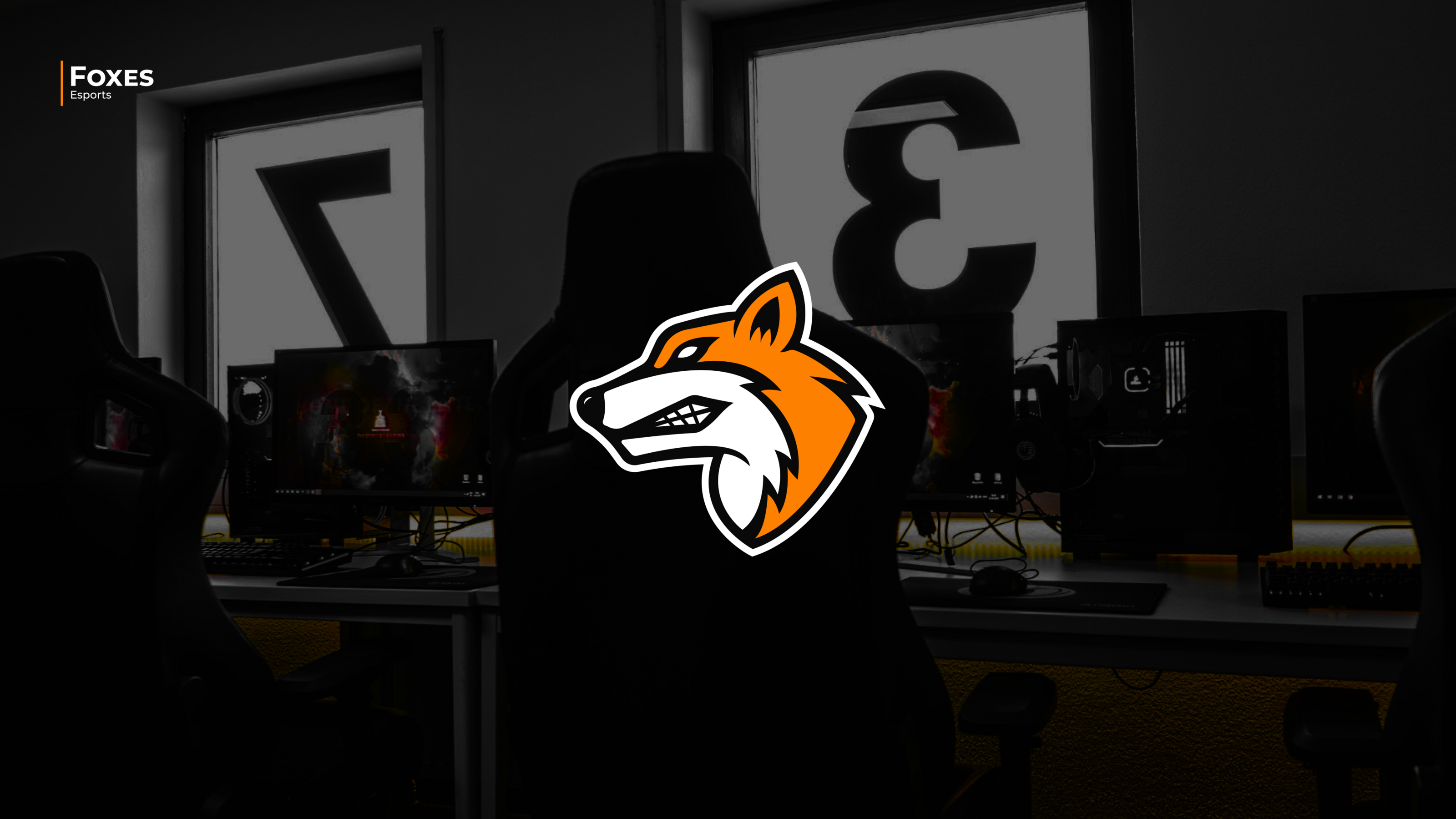 FOXES ESPORTS | IDENTITY — Изображение №1 — Брендинг на Dprofile