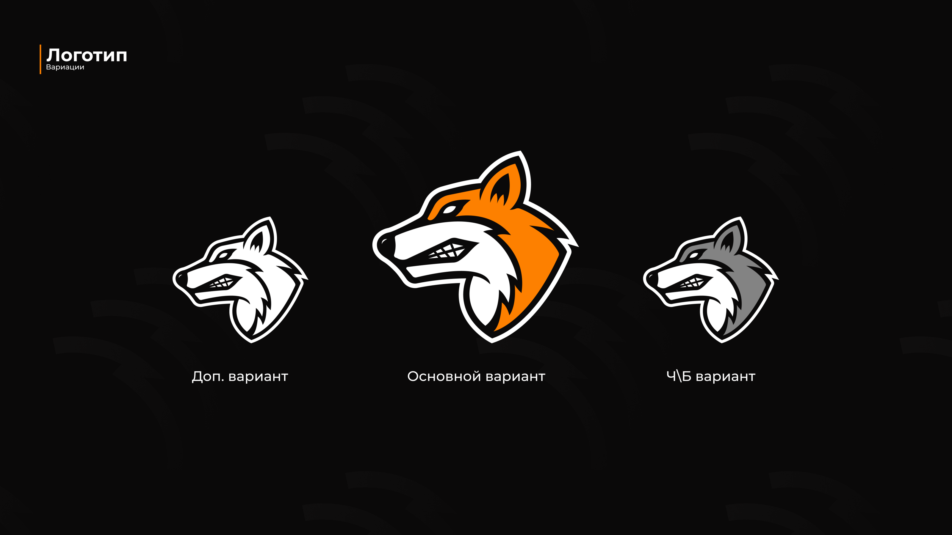 FOXES ESPORTS | IDENTITY — Изображение №3 — Брендинг на Dprofile