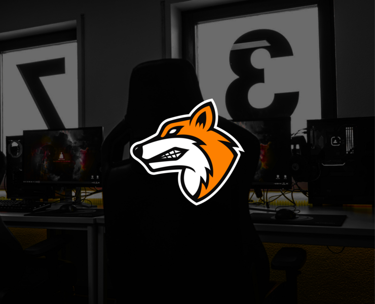 FOXES ESPORTS | IDENTITY на Dprofile