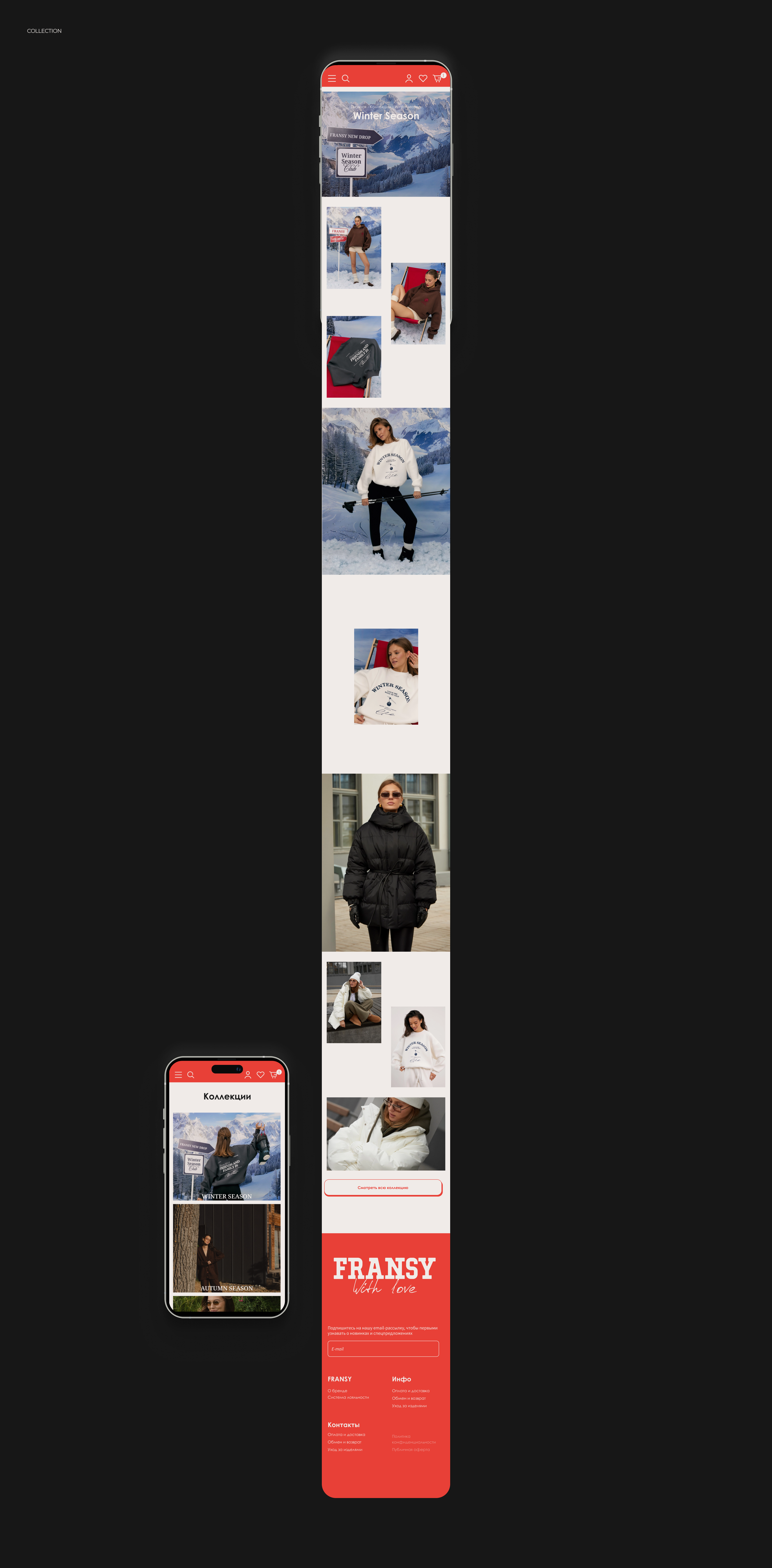 Сайт для интернет-магазина одежды Fransy — Изображение №7 — Интерфейсы на Dprofile