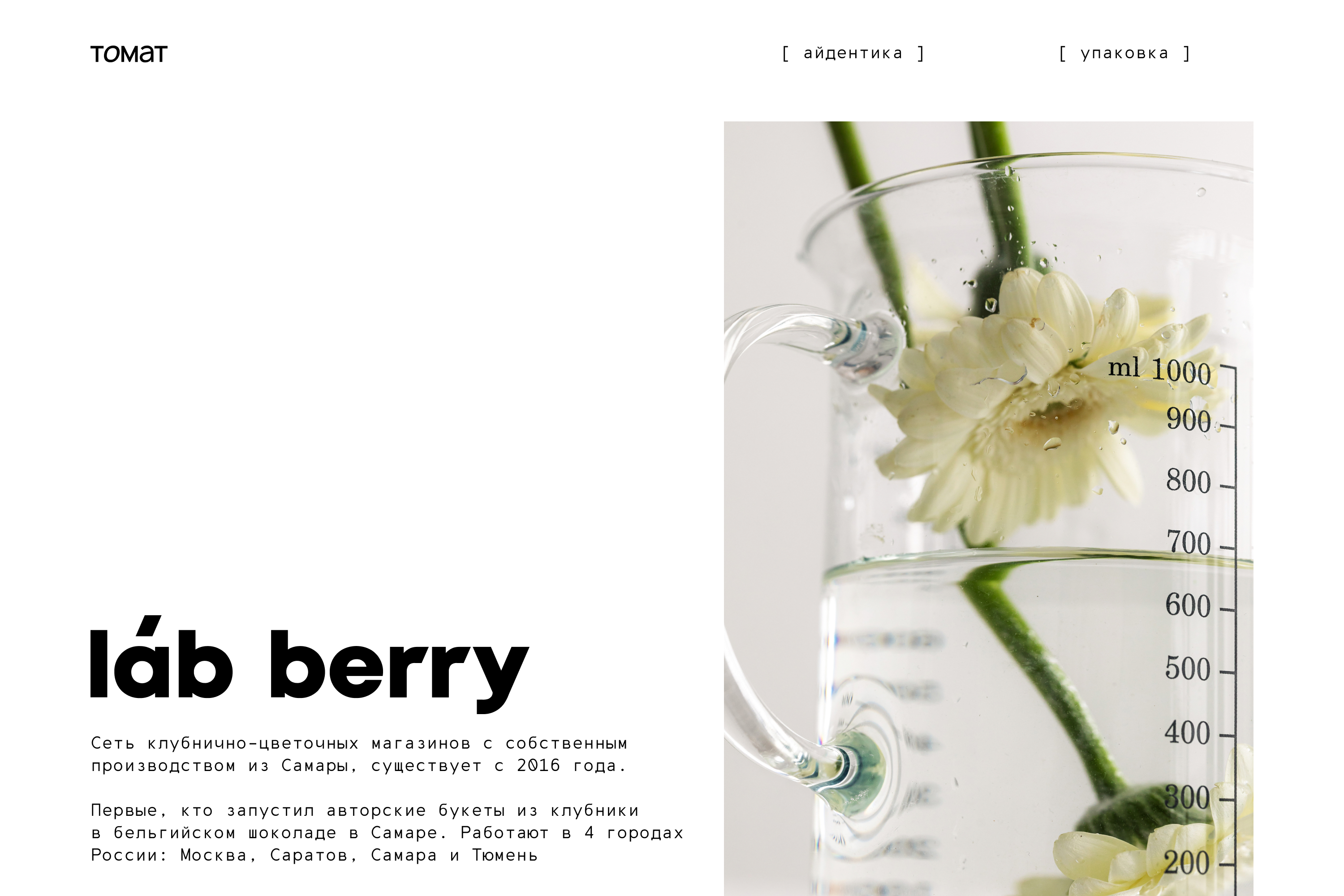 [ láb berry ] // identity — Изображение №1 — Брендинг на Dprofile