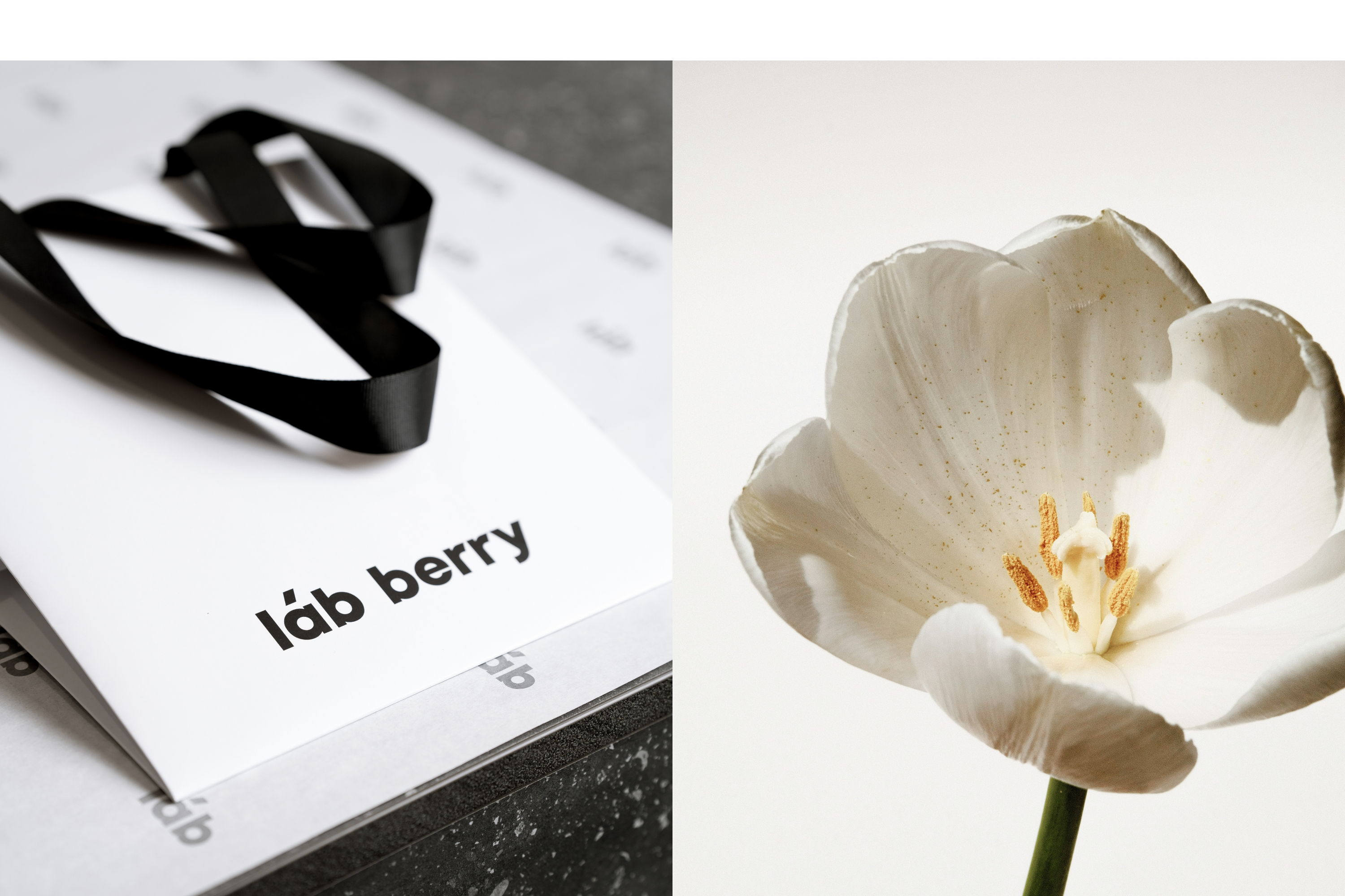 [ láb berry ] // identity — Изображение №7 — Брендинг на Dprofile
