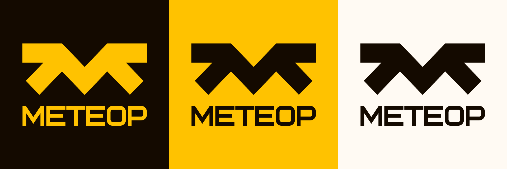 МЕТЕОР // Branding & Identity — Изображение №5 — Брендинг на Dprofile