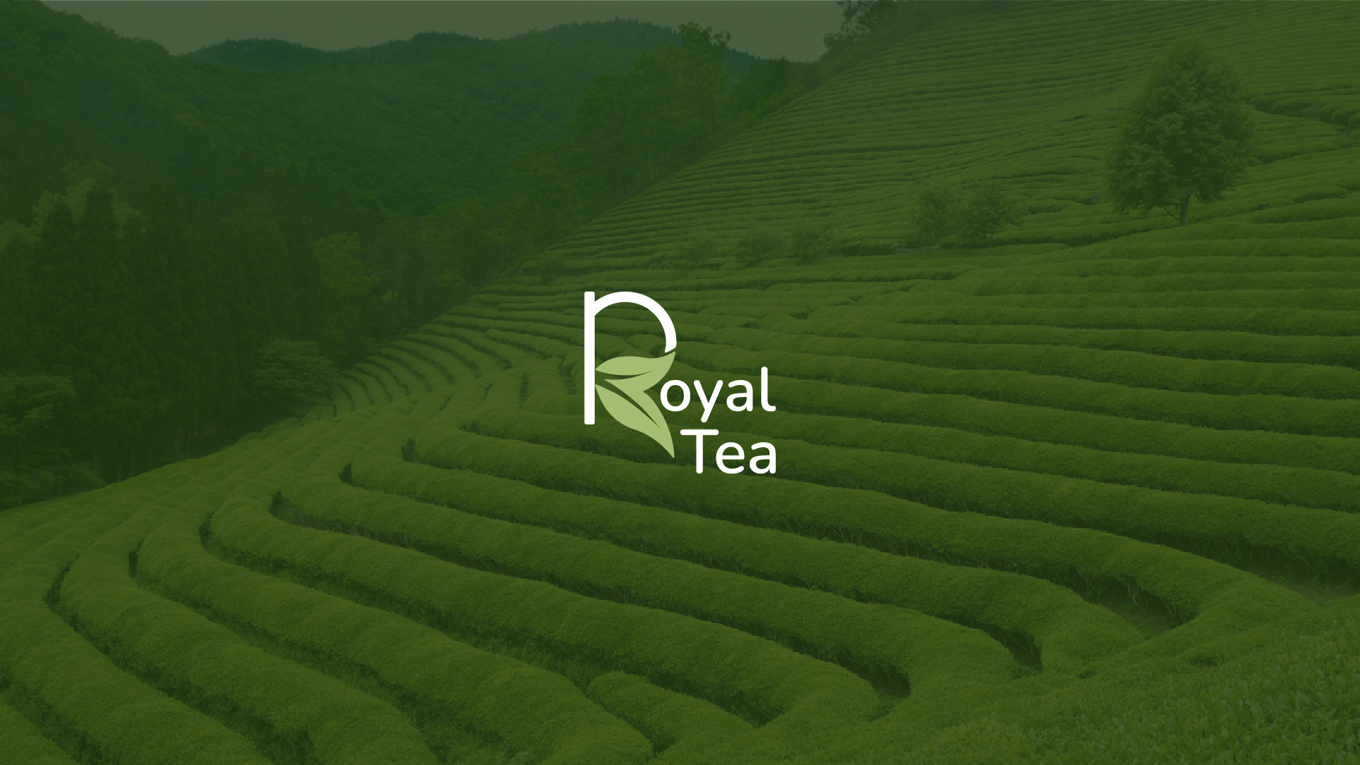 Royal Tea Logo and Brand Identity — Изображение №1 — Брендинг, Графика на Dprofile