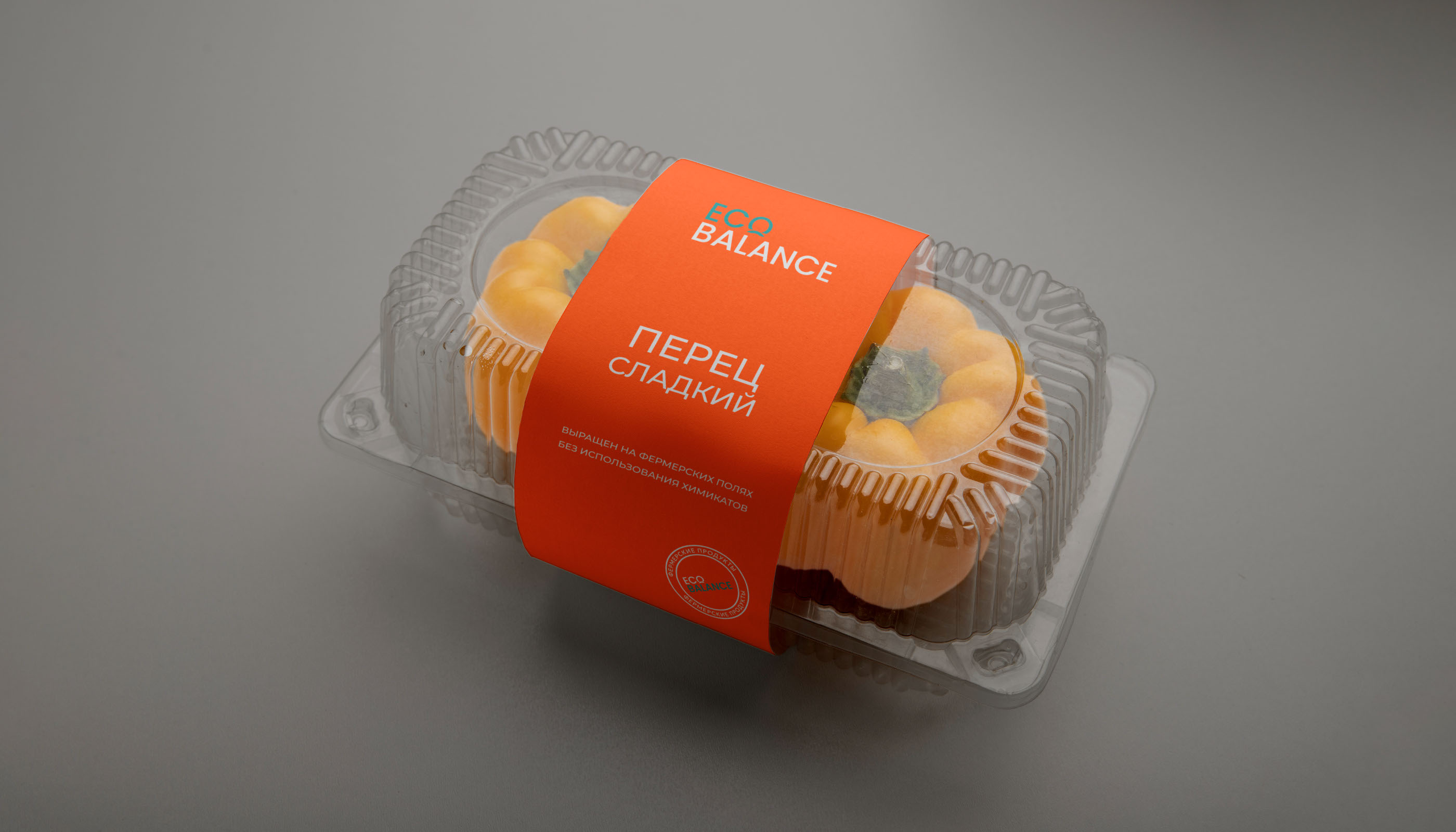 Brand identity for the food company — Изображение №12 — Интерфейсы, Брендинг на Dprofile