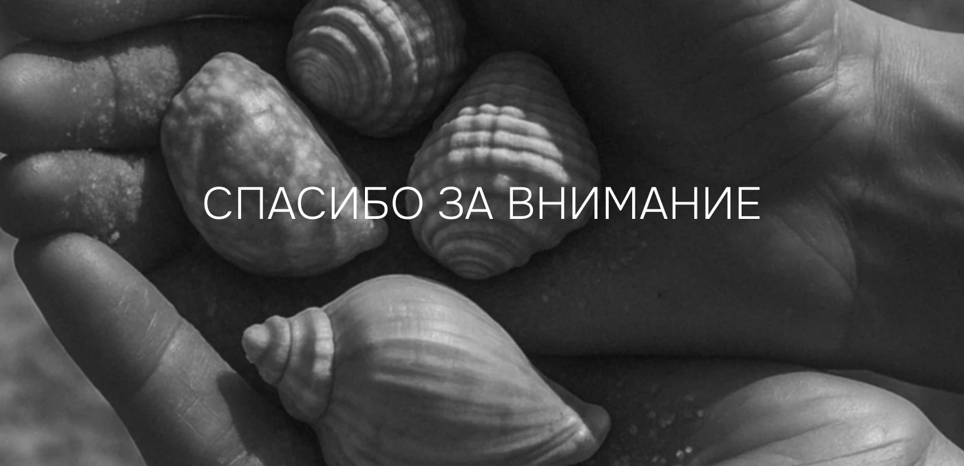 SOLUNE | ДИЗАЙН УПАКОВКИ И ЛОГОТИПА — Изображение №10 — Брендинг на Dprofile