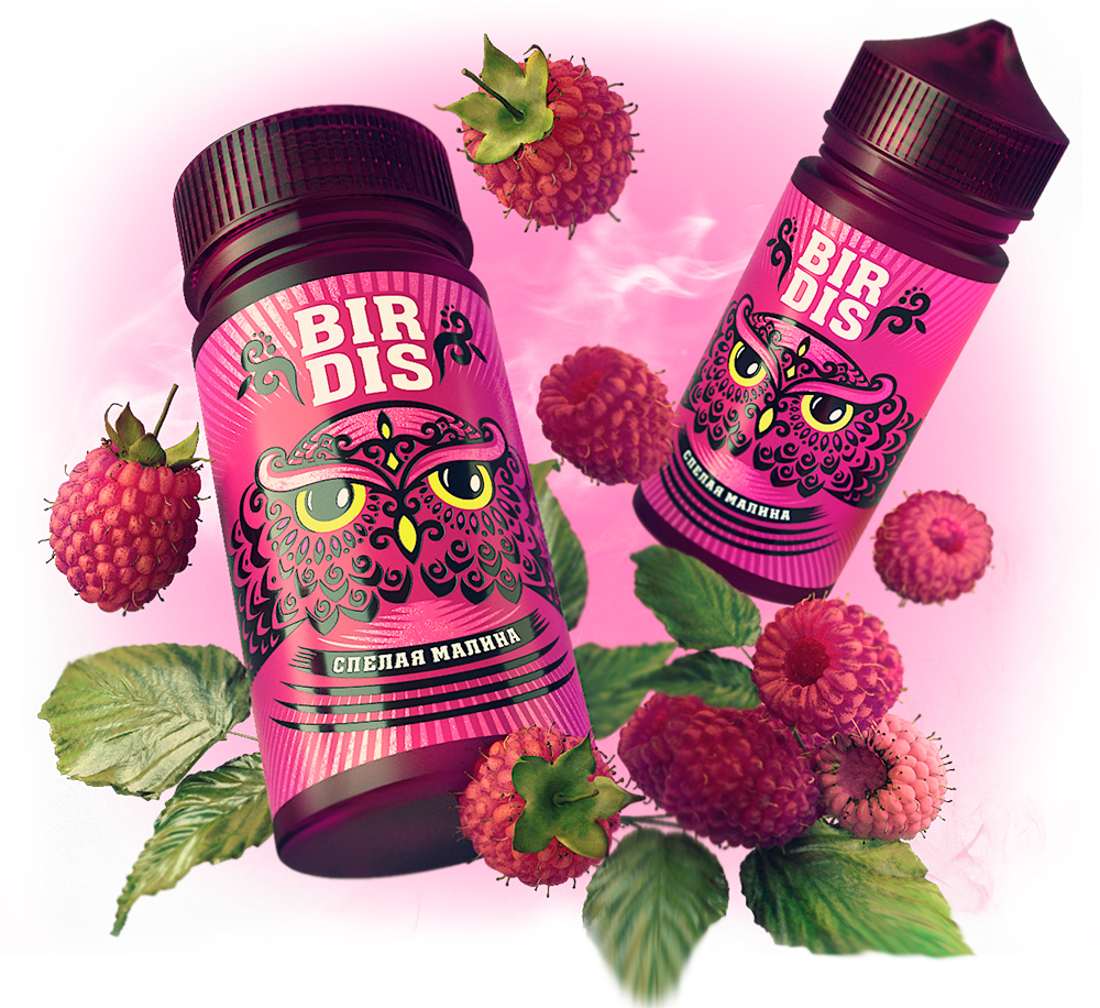 BIRDIS — Изображение №5 — Брендинг, 3D на Dprofile
