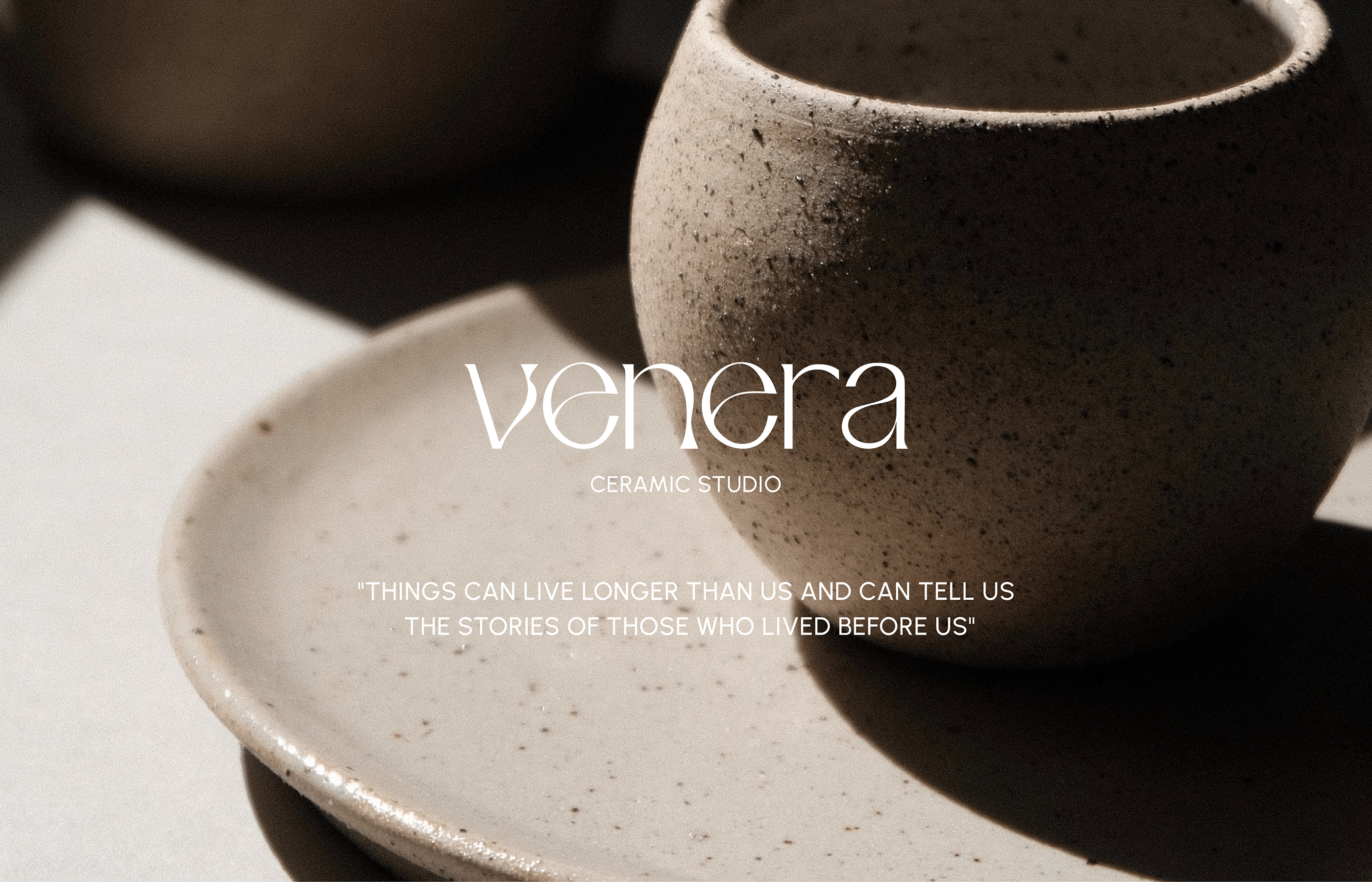 VENERA | BRAND IDENTITY — Изображение №1 — Брендинг, Графика на Dprofile