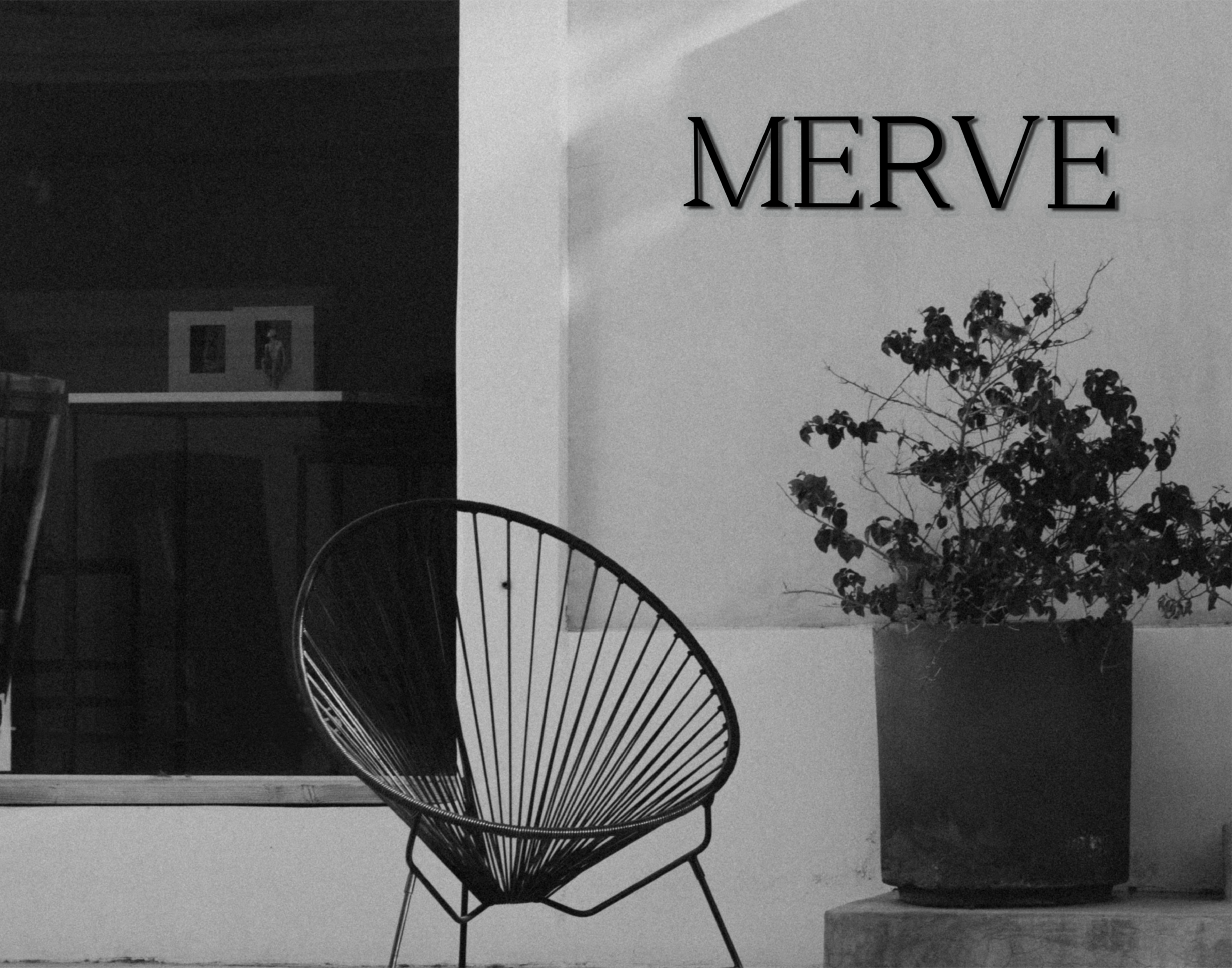 MERVE | BRAND IDENTITY — Изображение №8 — Брендинг на Dprofile