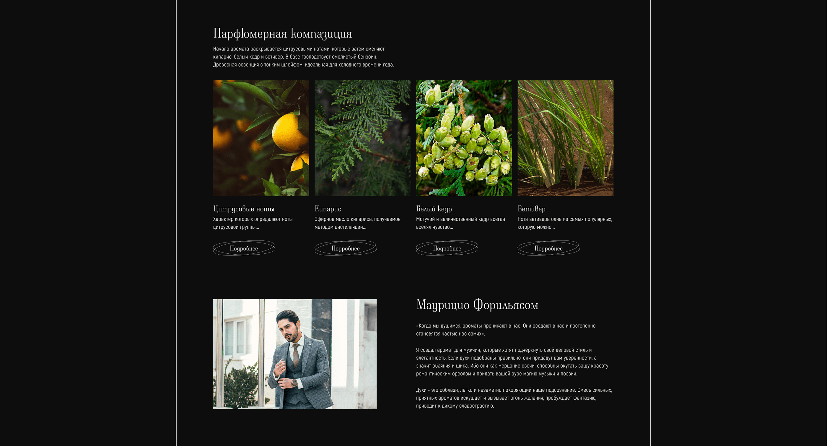 Landing page | Лендинг Feromon 47 — Изображение №5 — Интерфейсы, Маркетинг на Dprofile