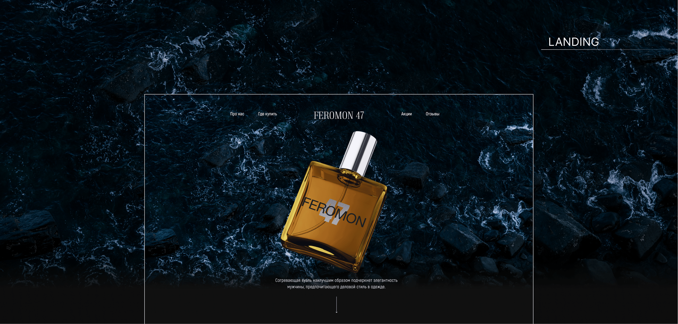 Landing page | Лендинг Feromon 47 — Изображение №4 — Интерфейсы, Маркетинг на Dprofile