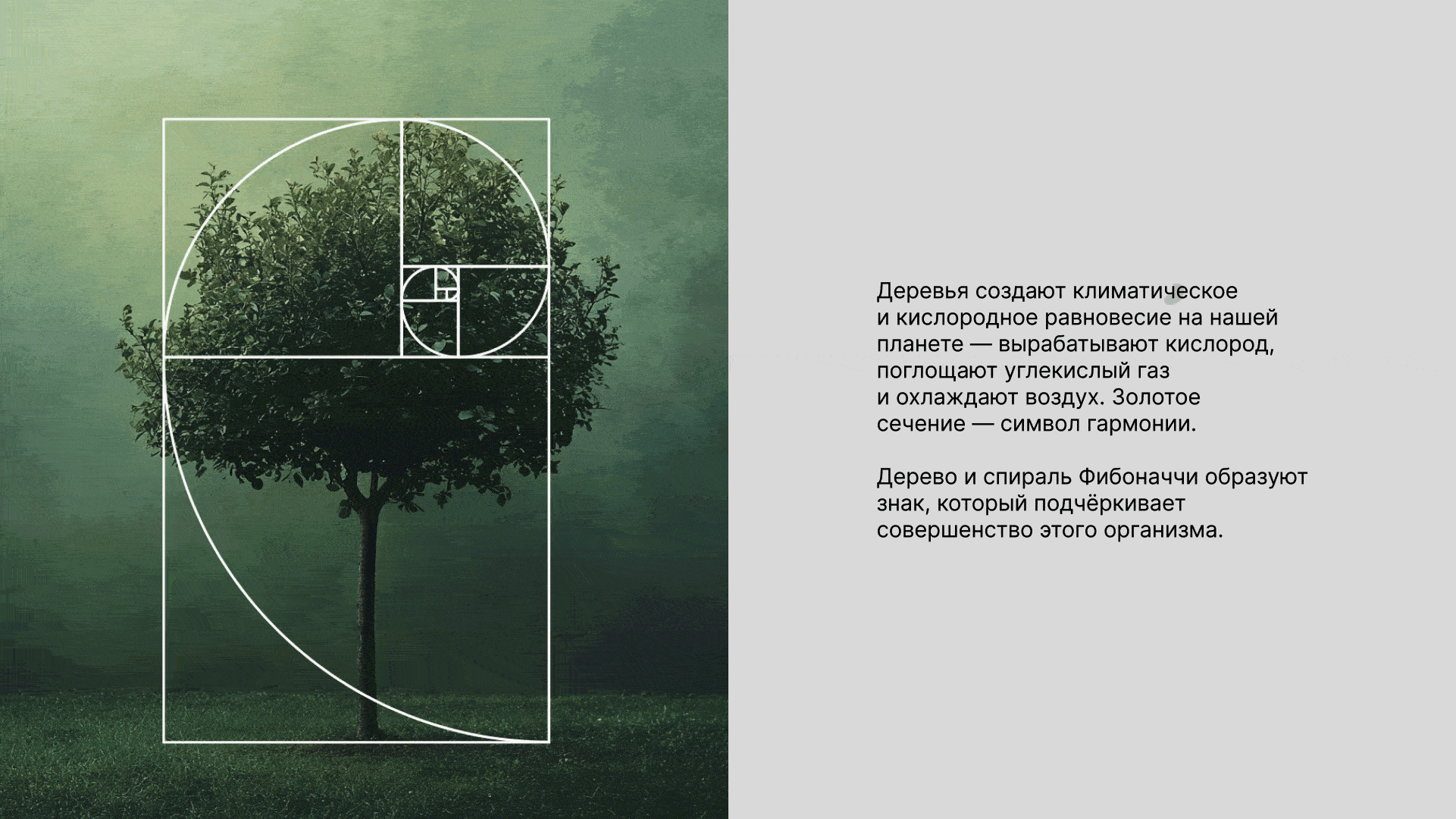 Благотворительный фонд — Изображение №2 — Брендинг на Dprofile
