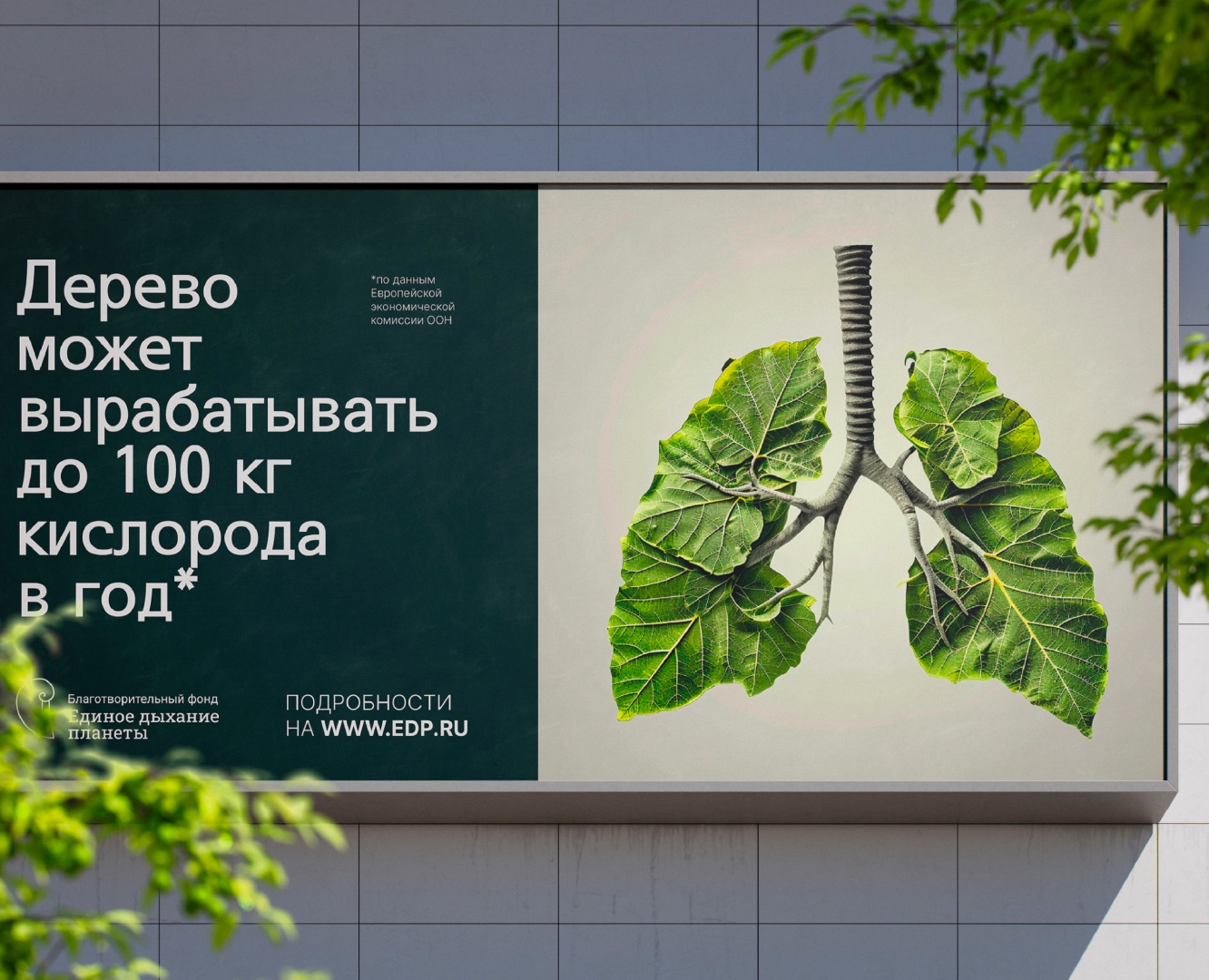 Благотворительный фонд — Брендинг на Dprofile