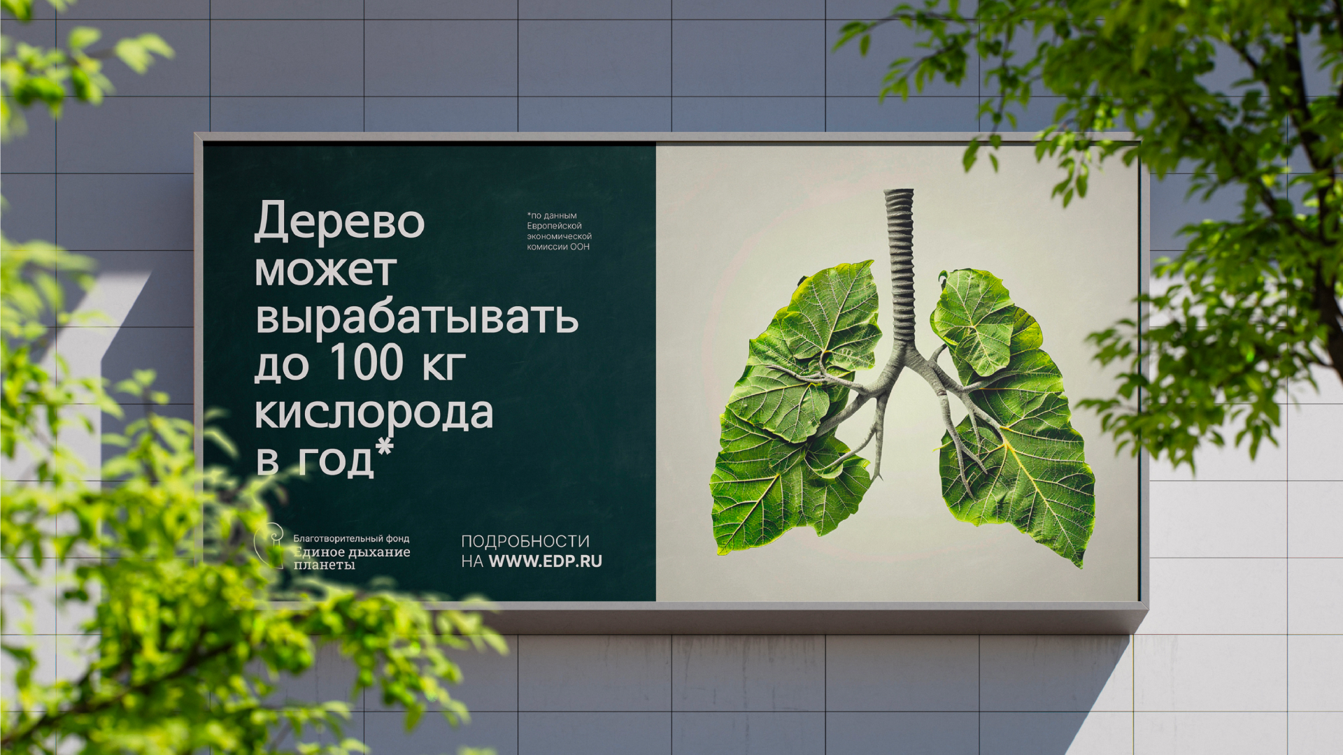 Благотворительный фонд — Изображение №8 — Брендинг на Dprofile