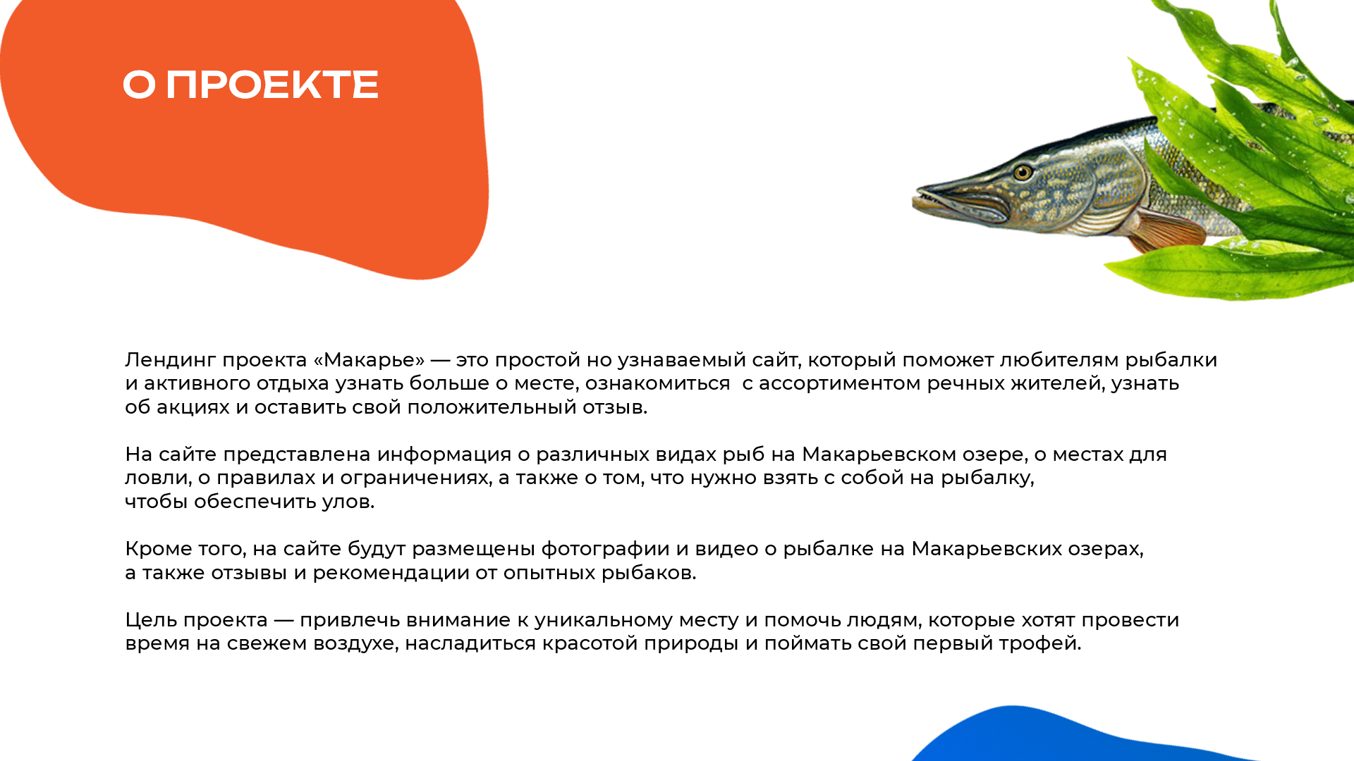 Makarie-fishing.ru | UI / UX / Branding — Изображение №2 — Интерфейсы, Брендинг на Dprofile