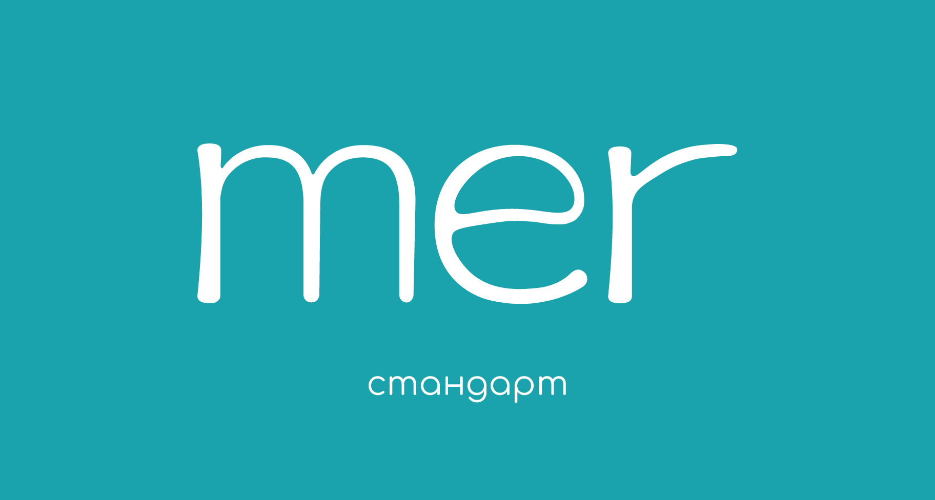 Логотип и фирменный стиль для бренда зубных щеток MER — Изображение №2 — Брендинг, Графика на Dprofile