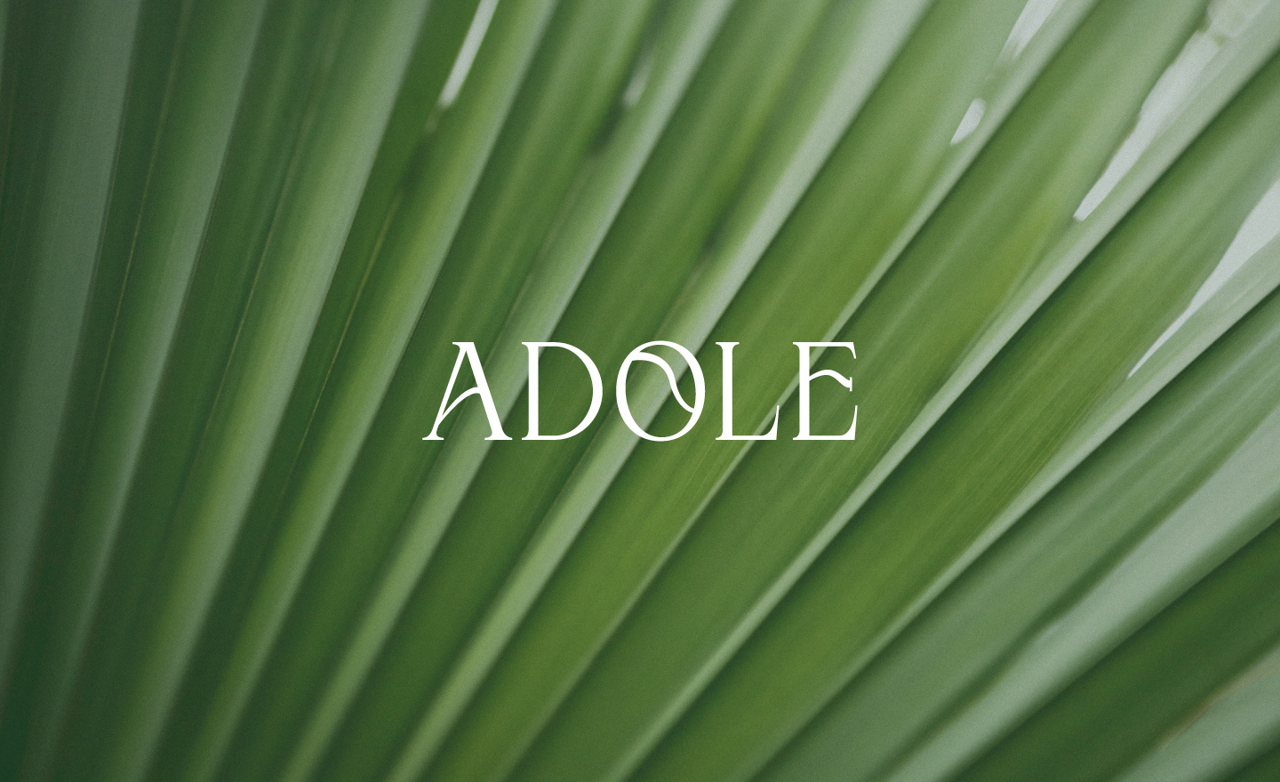 ADOLE cosmetics | Logo & Packaging design — Изображение №1 — Брендинг, Графика на Dprofile