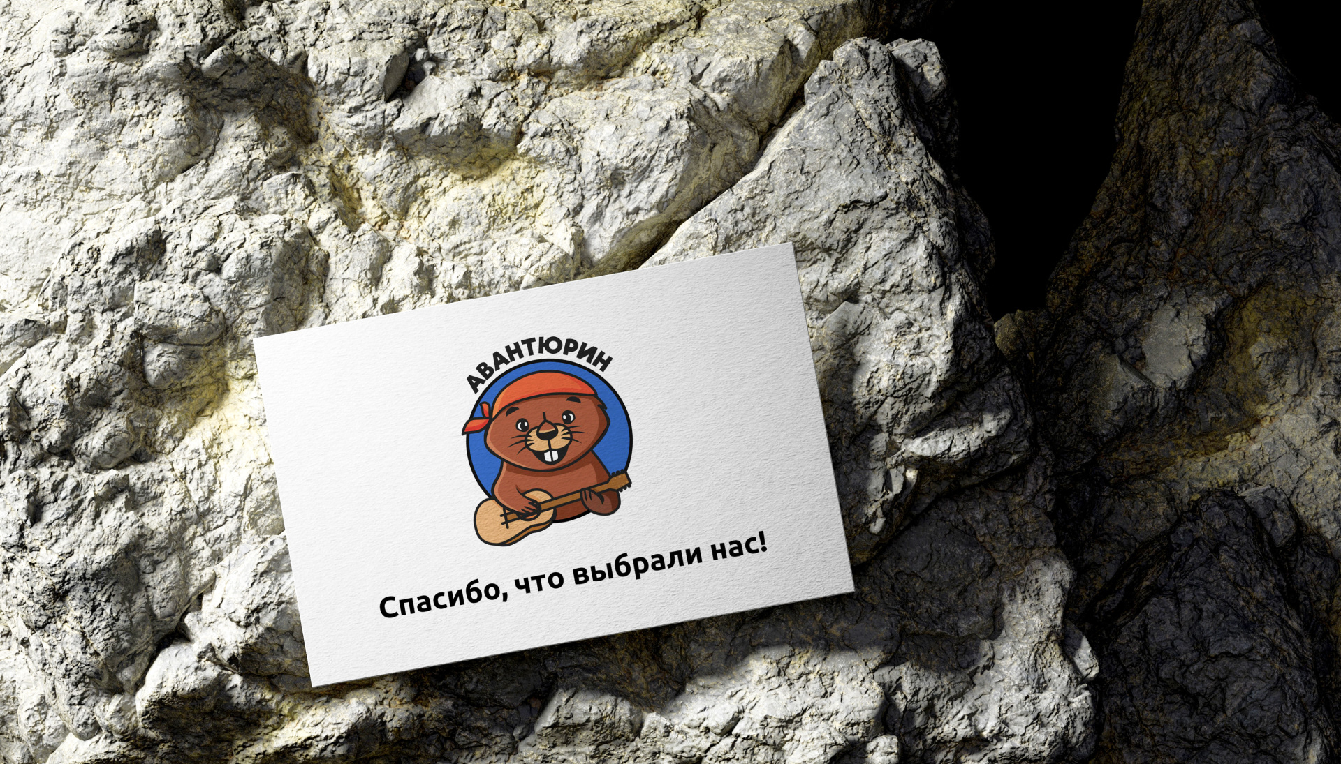 Логотип и фирменный стиль для интернет магазина — Изображение №12 — Брендинг, Иллюстрация на Dprofile