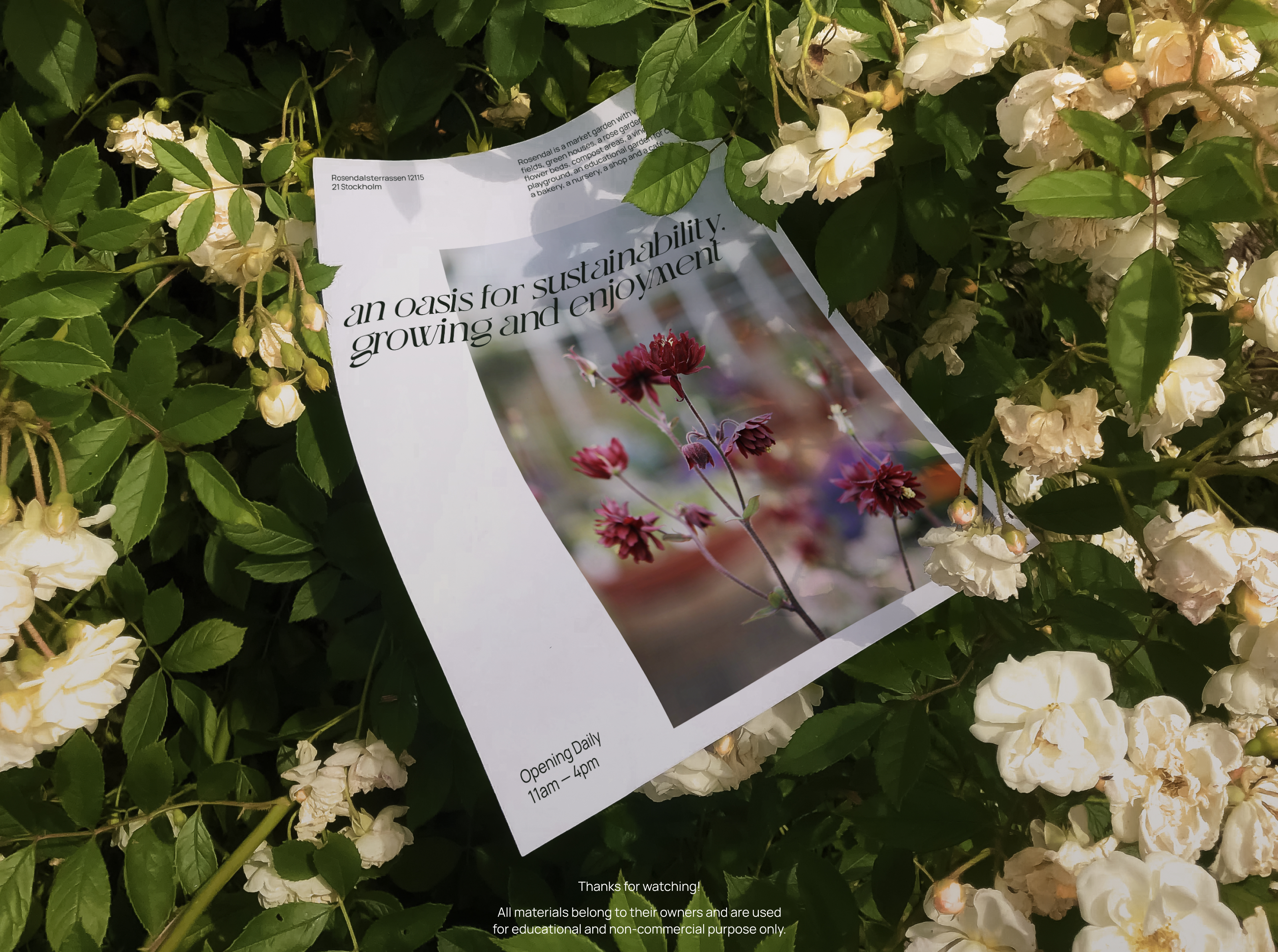 Rosendals Garden — Изображение №6 — Интерфейсы, Брендинг на Dprofile